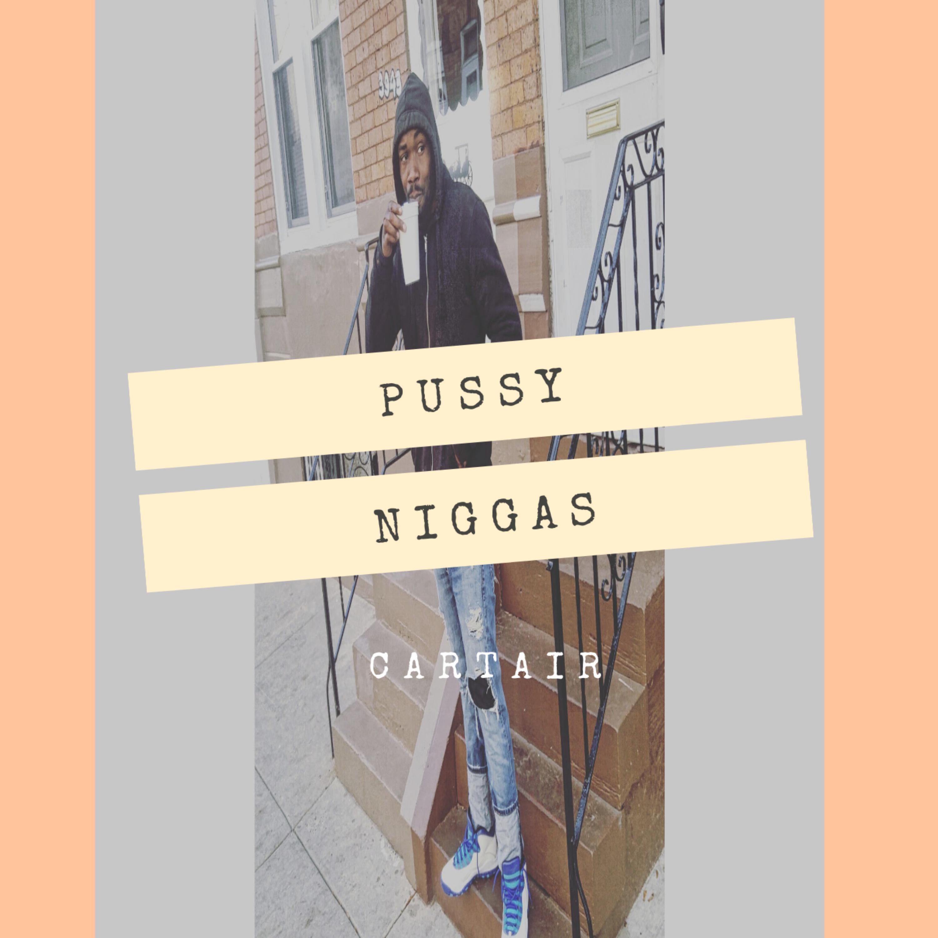 Pussy Niggas artwork
