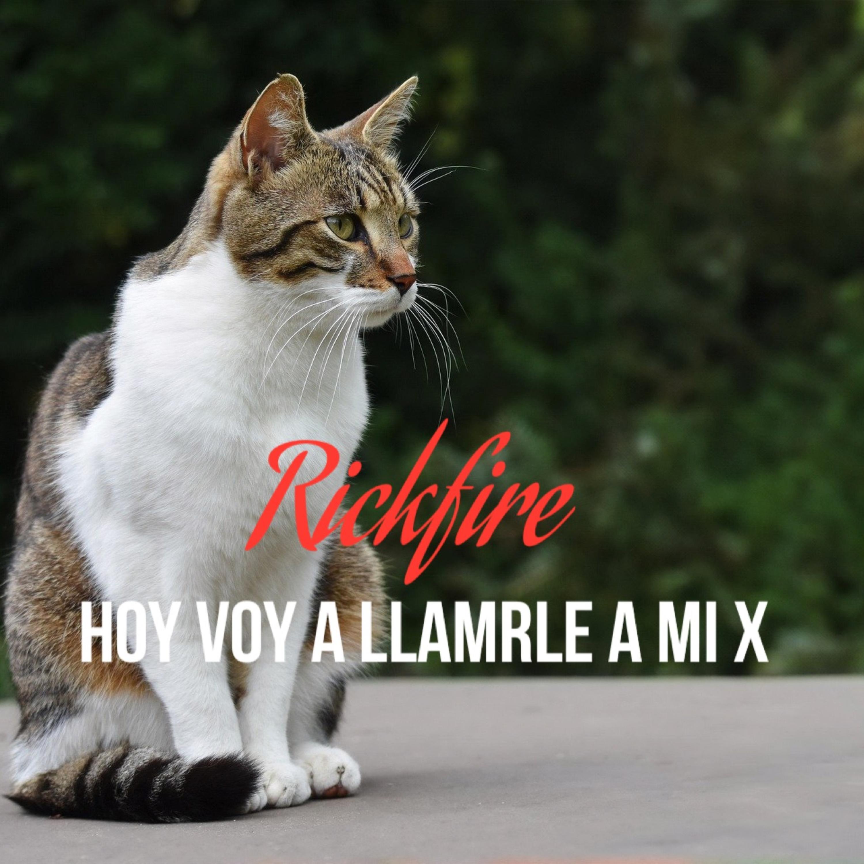 Hoy Voy A Llamarle A Mi X artwork