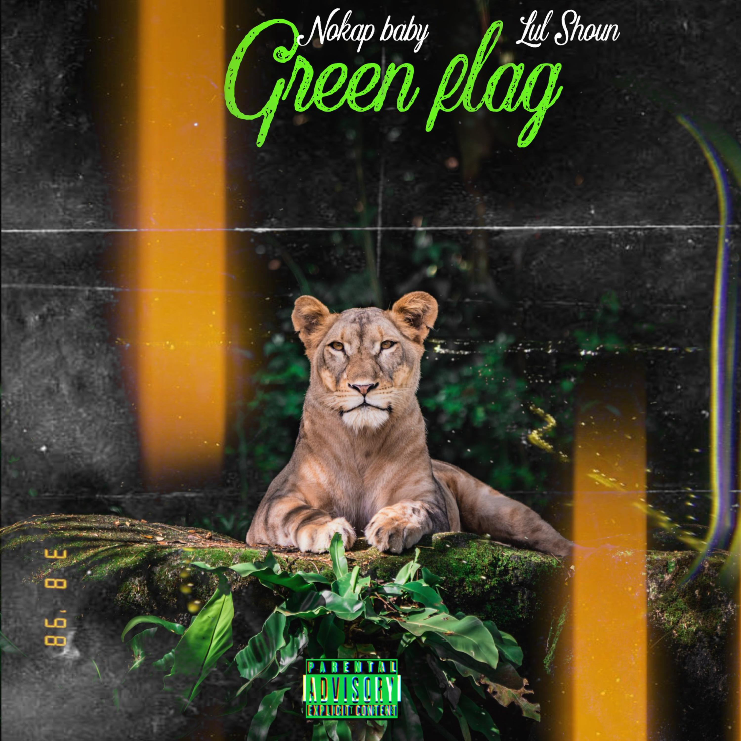 Green Flag artwork