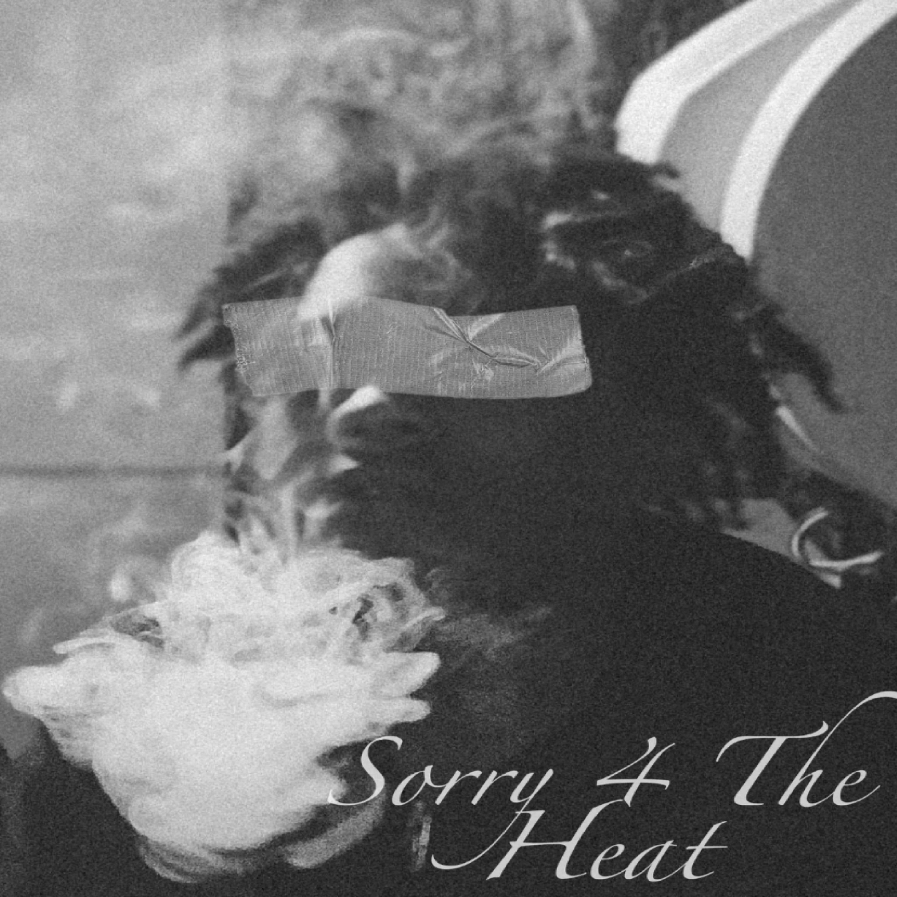 Sorry 4 The Heat artwork