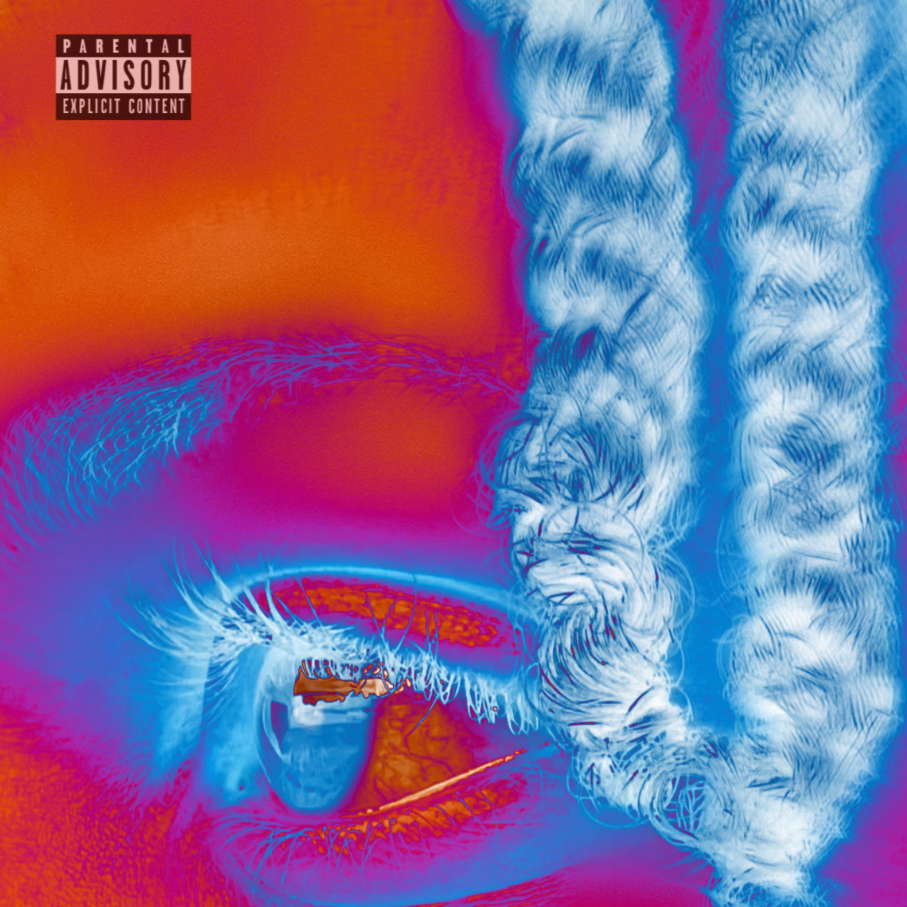 OVERLOOKED artwork
