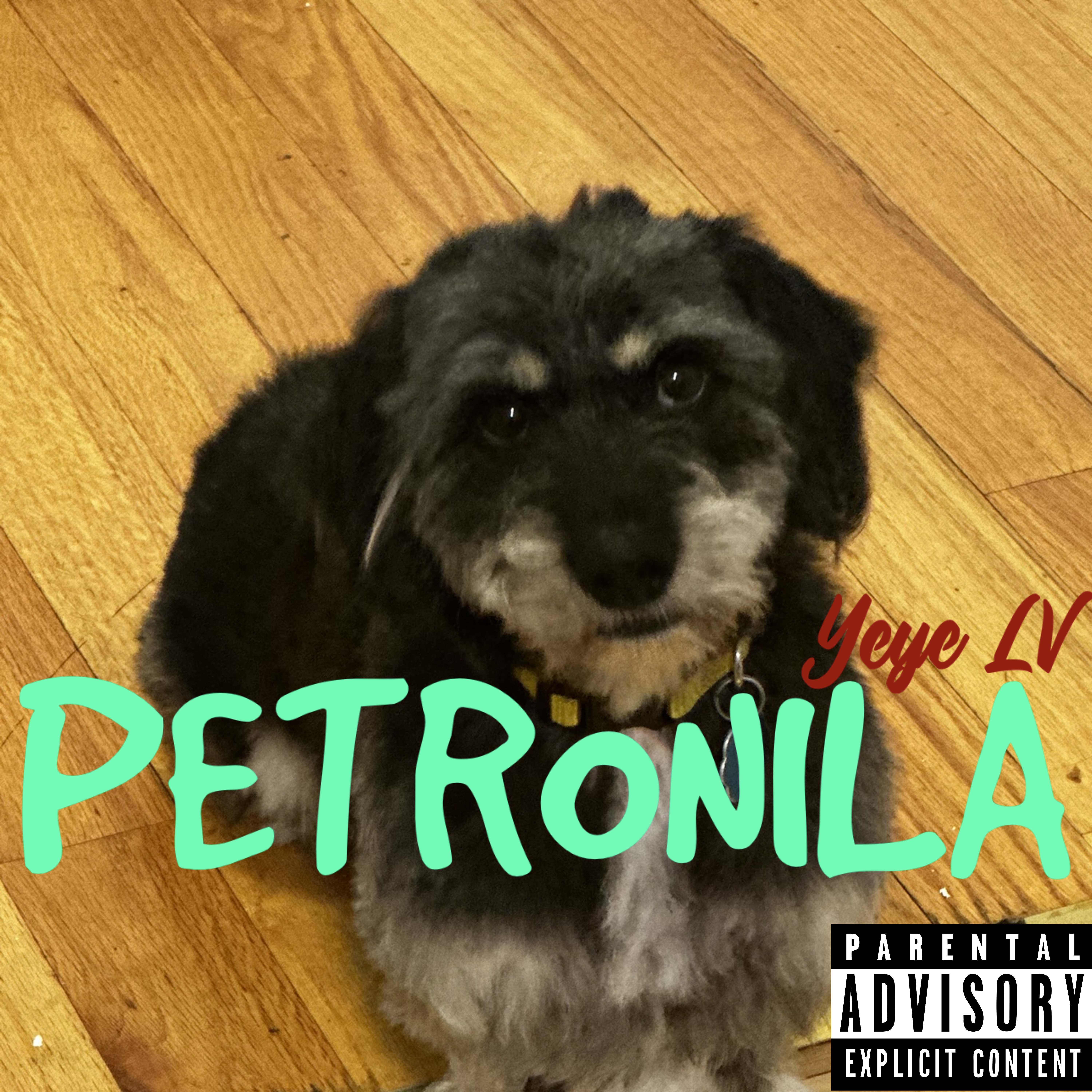 PETRONILA artwork