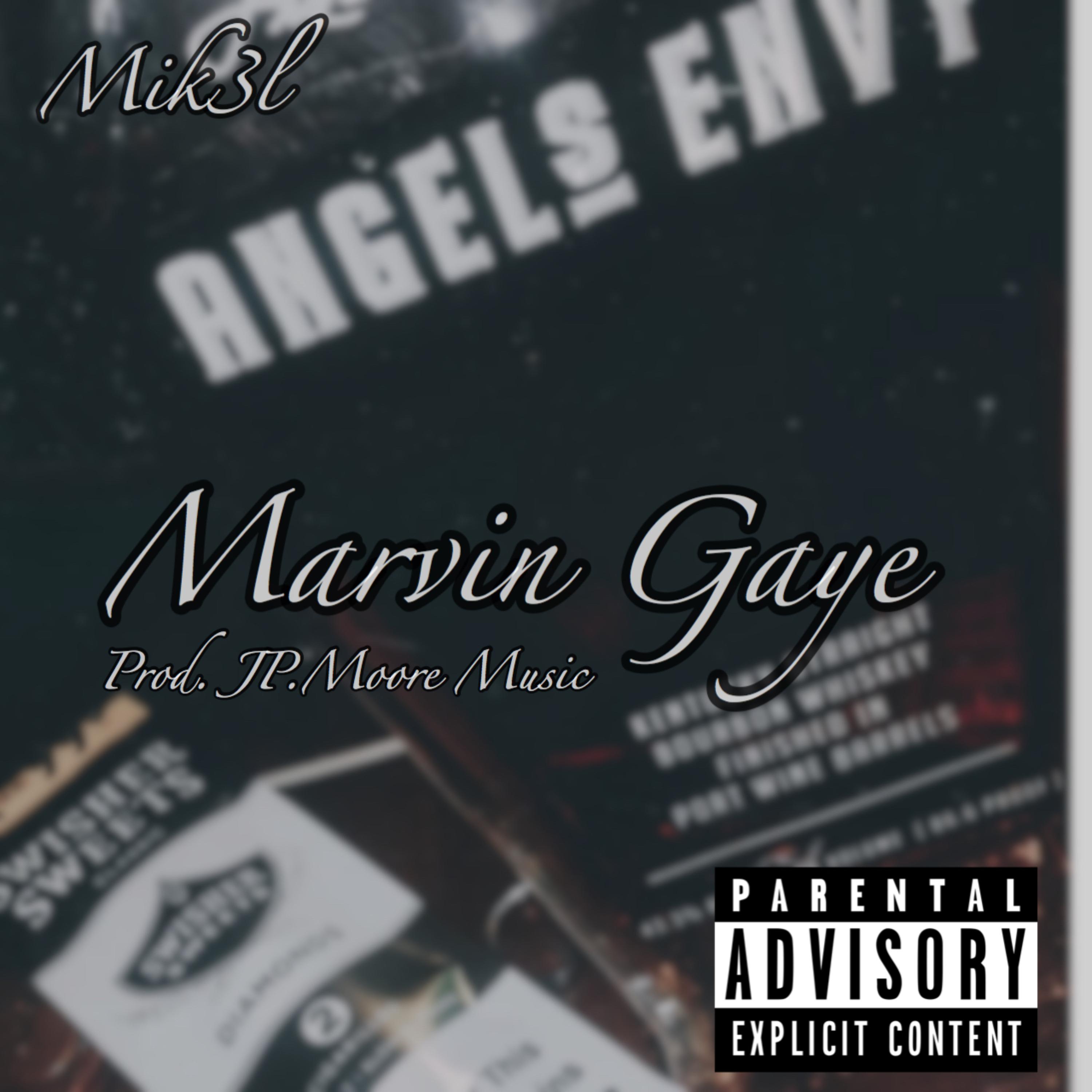 MARVIN GAY3 artwork
