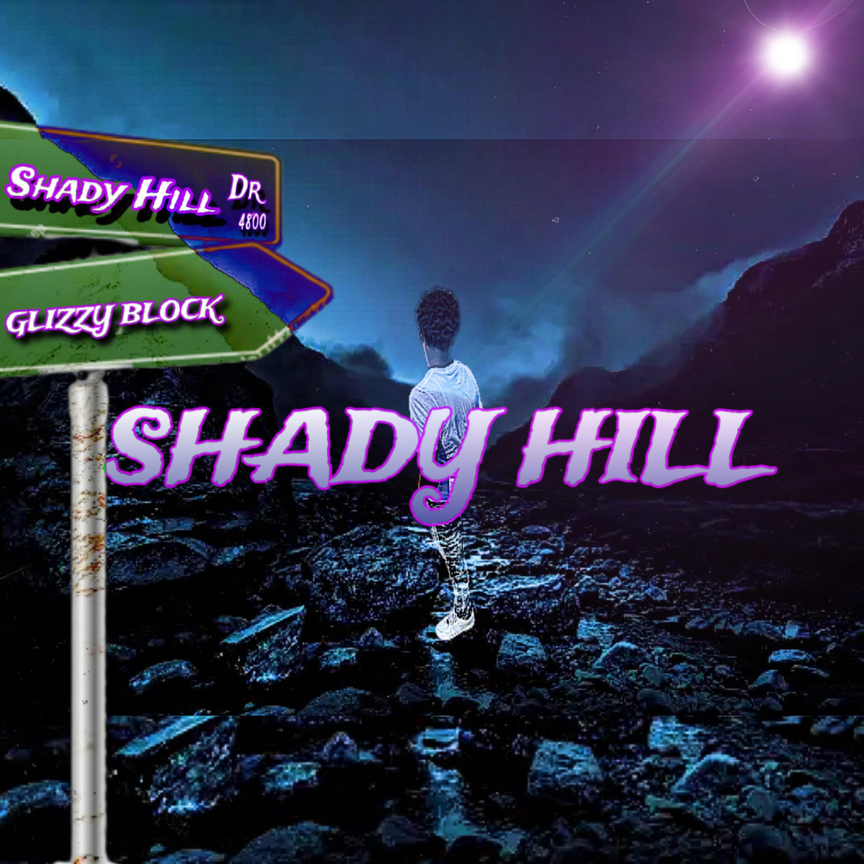Shady Hill (Glizzy Block) artwork