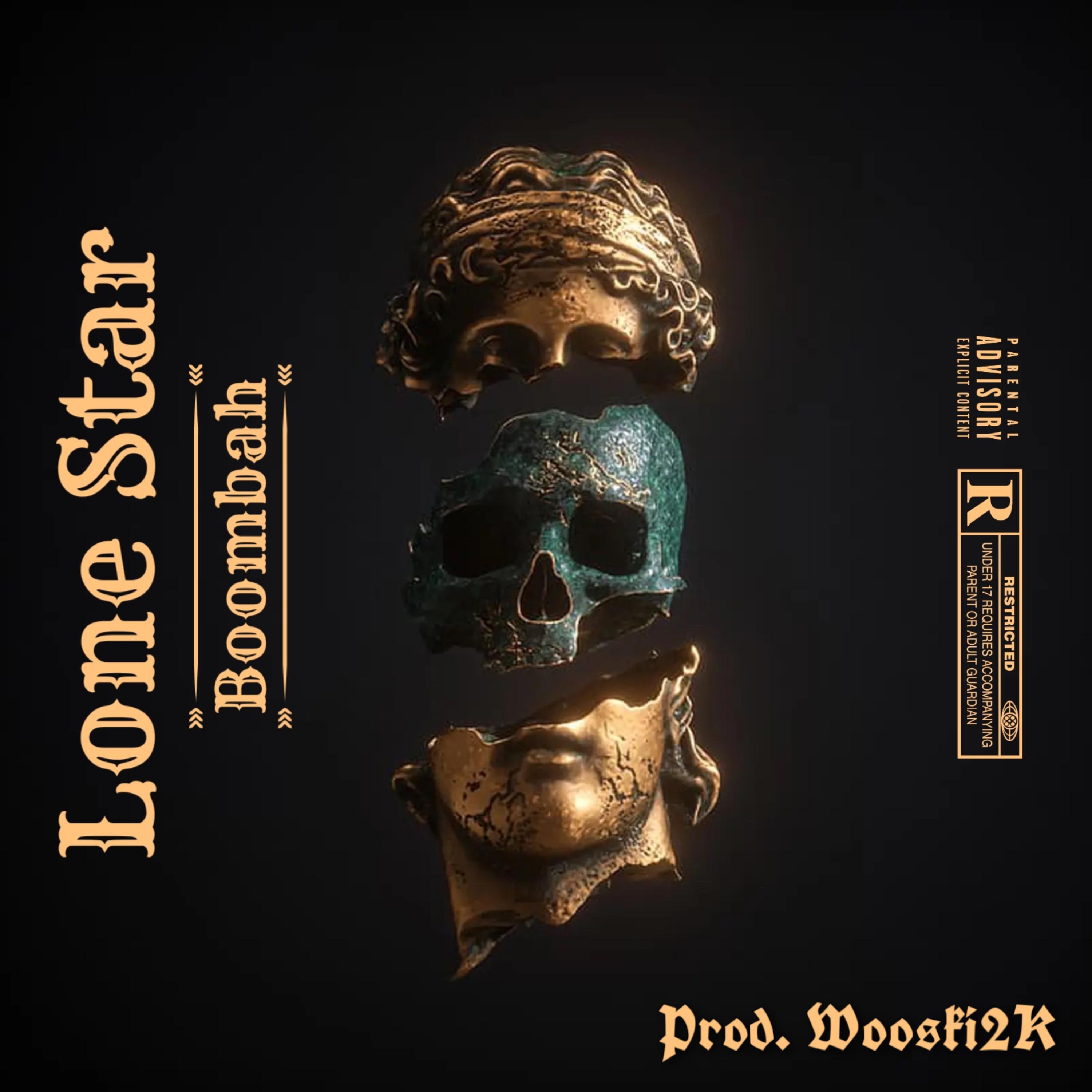 Lone $tar artwork