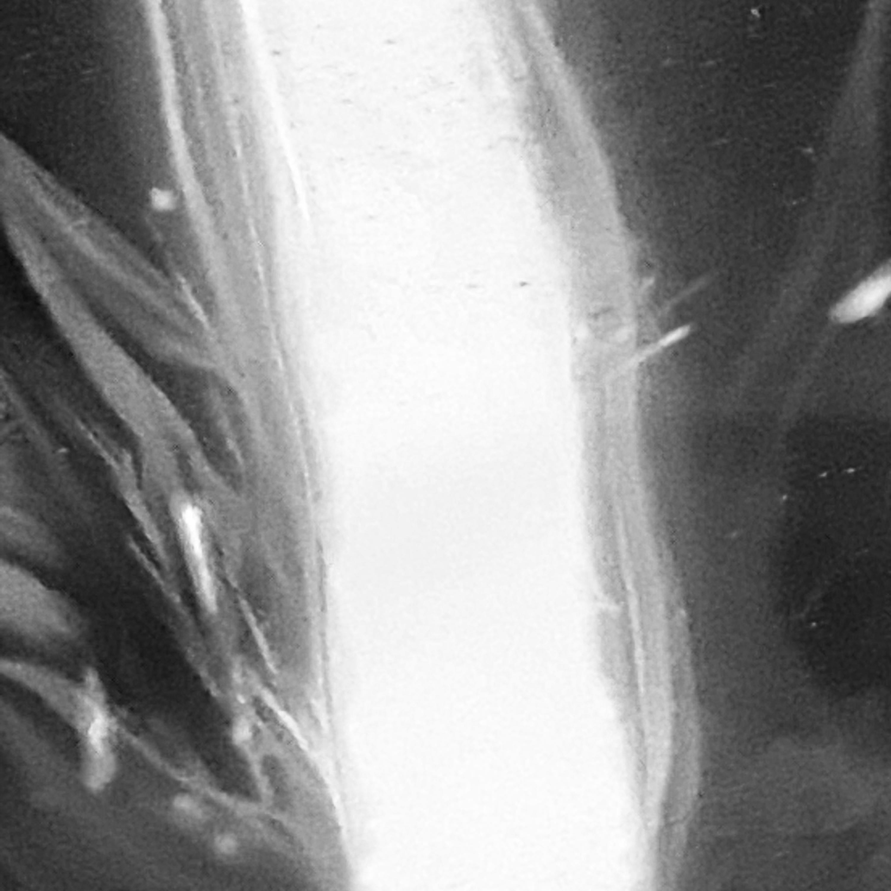 Fire Light artwork