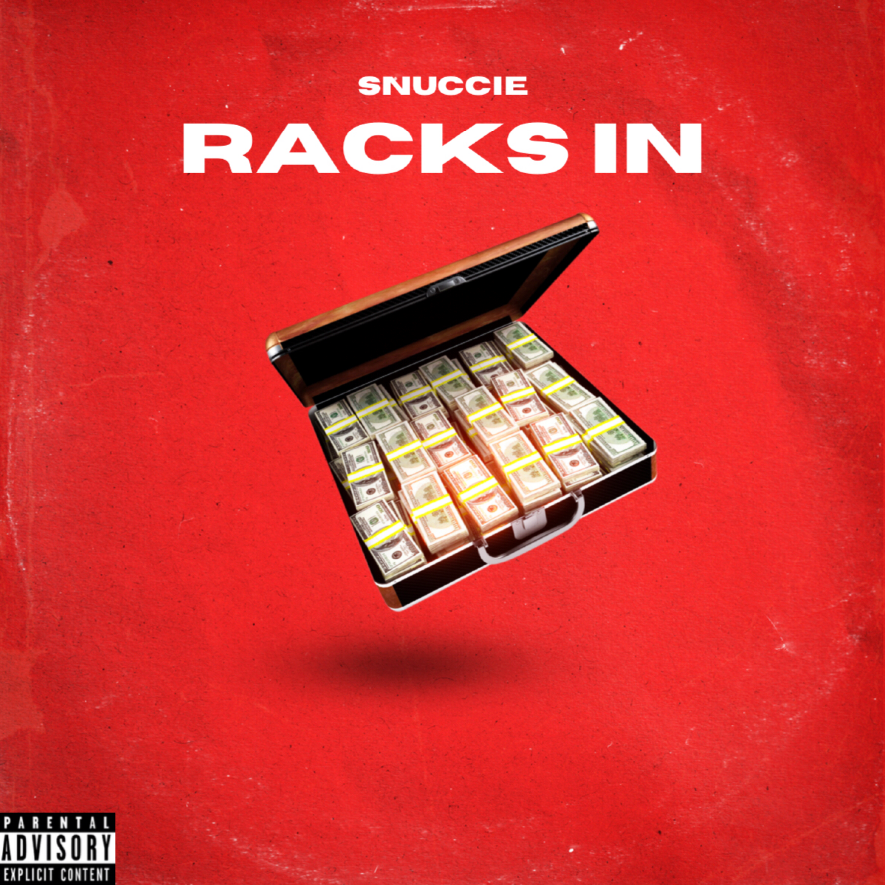 RACKS IN artwork