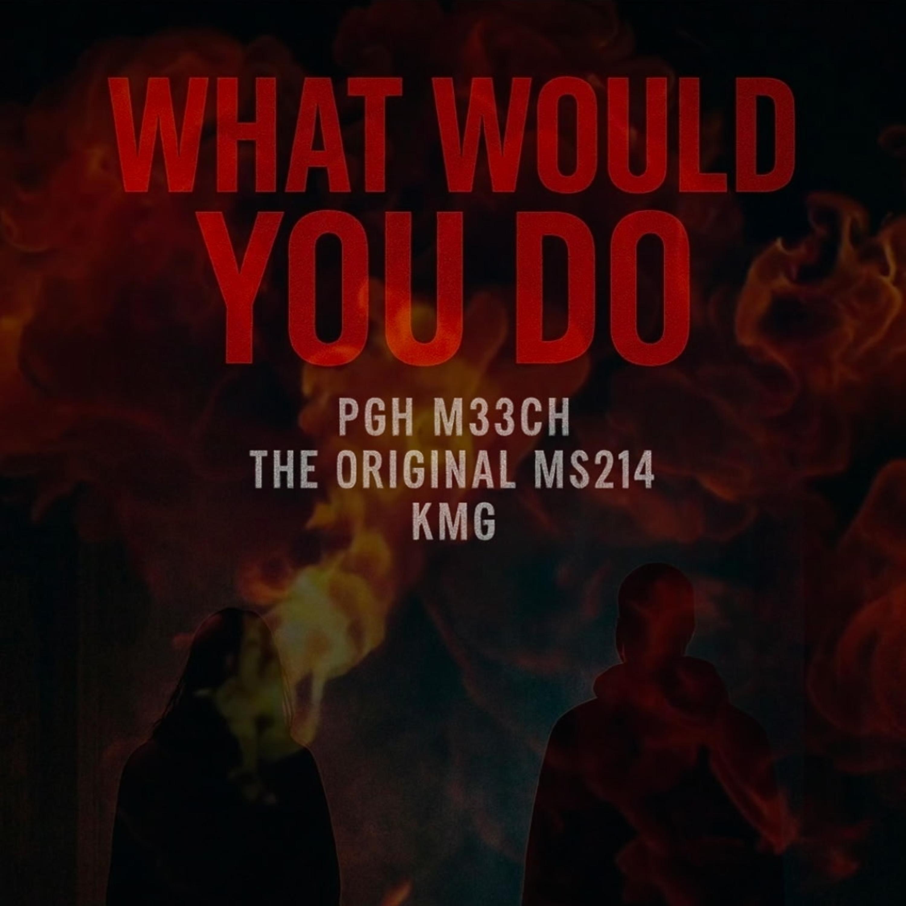 What Would You Do artwork