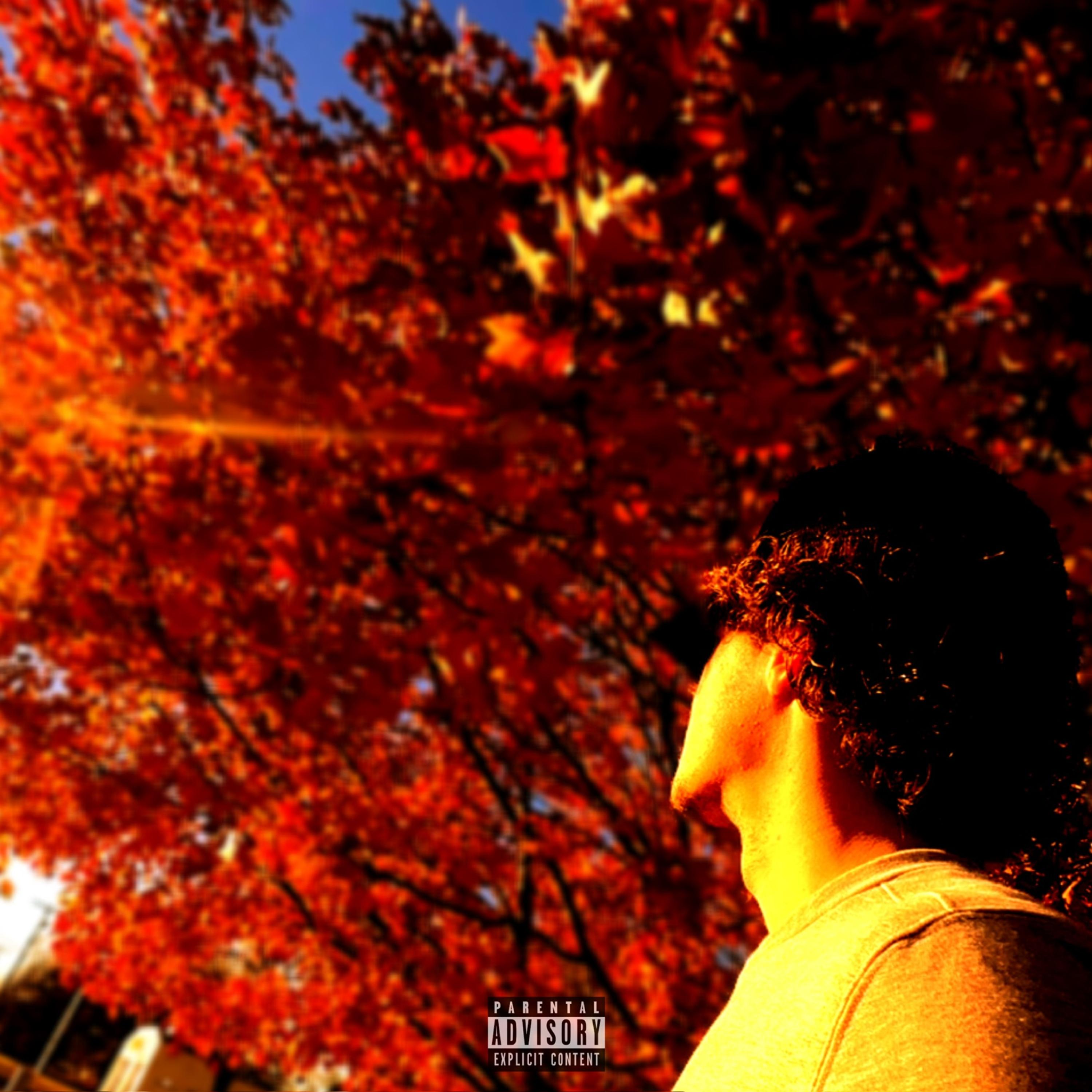 Lonely Fall artwork