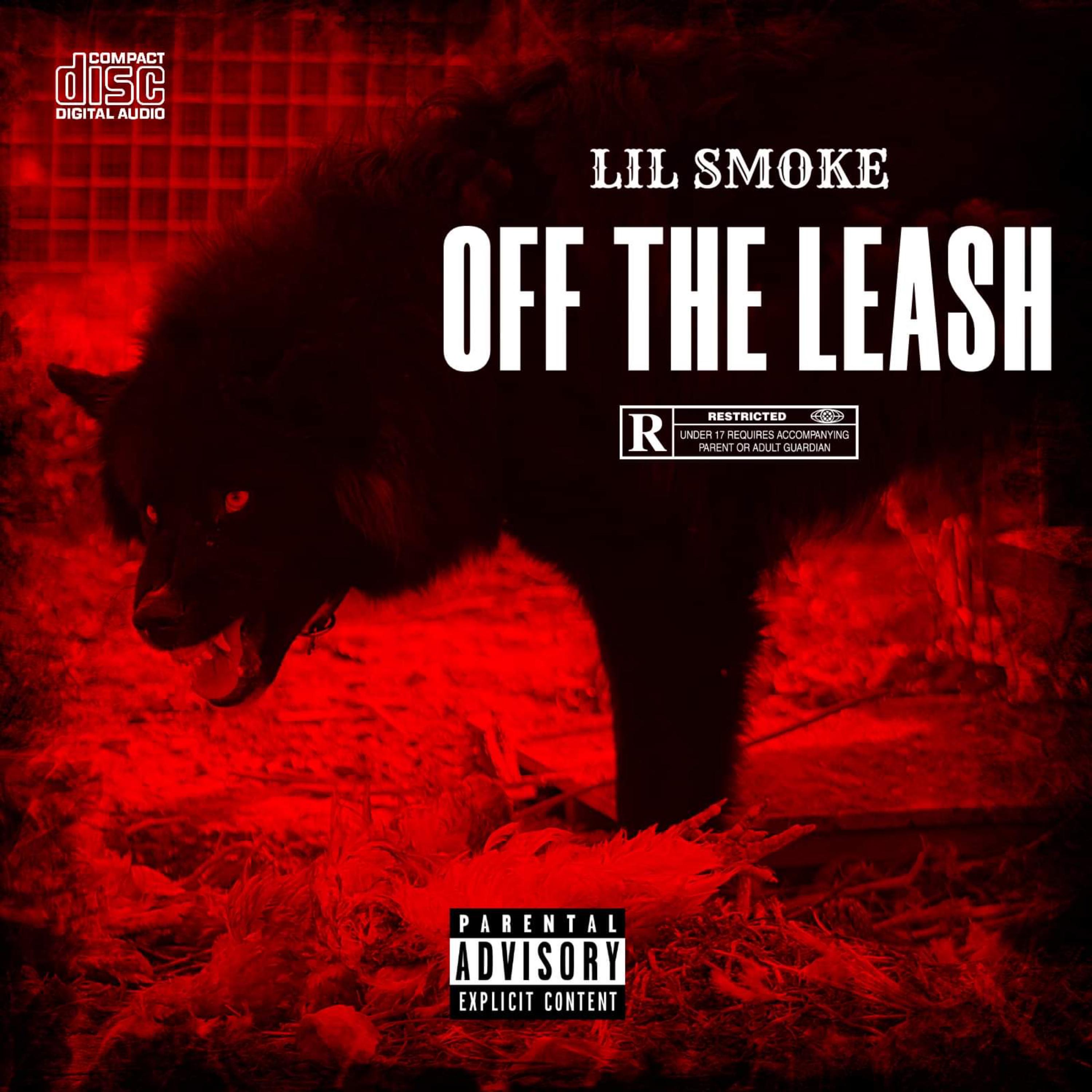 Off The Leash artwork