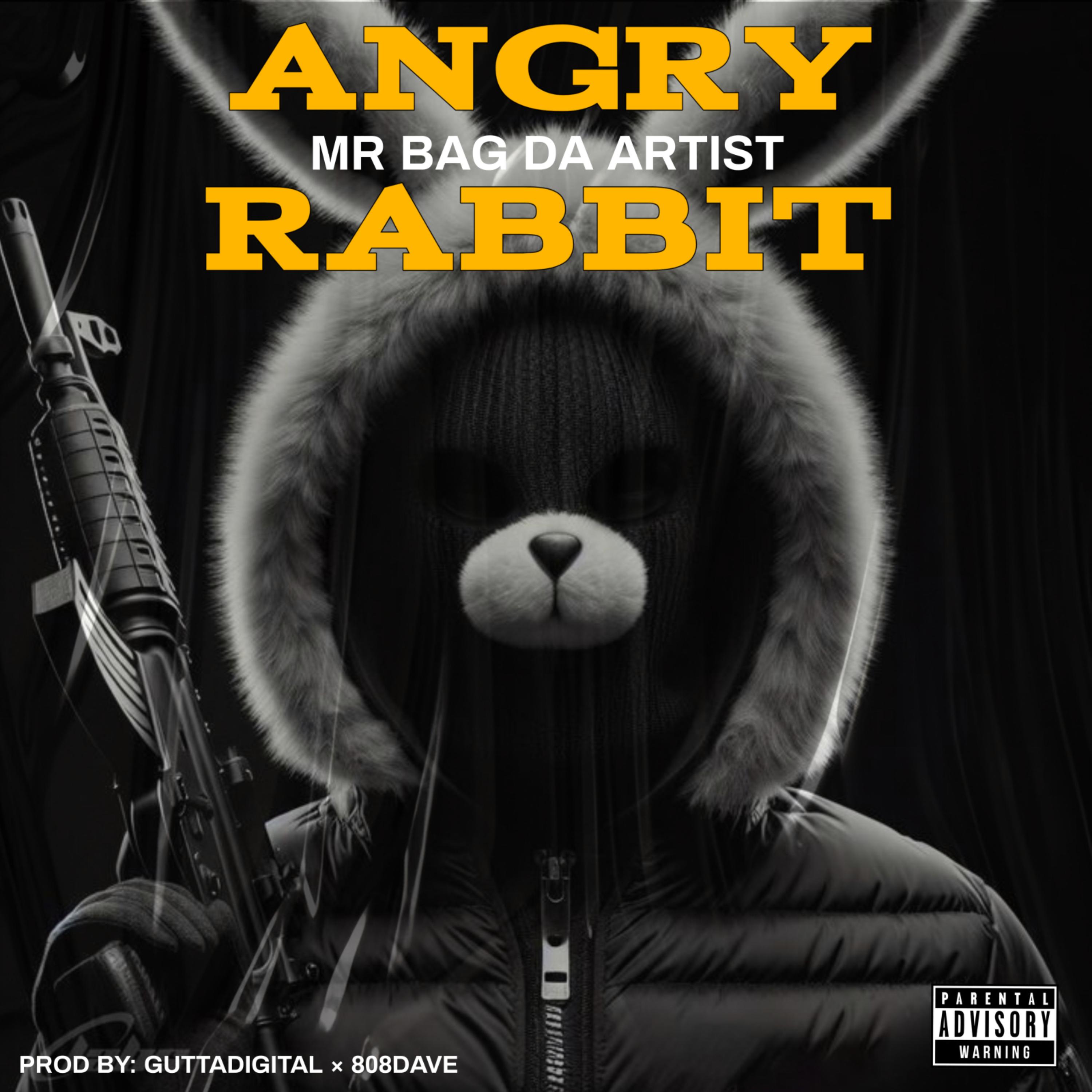 ANGRY RABBIT artwork