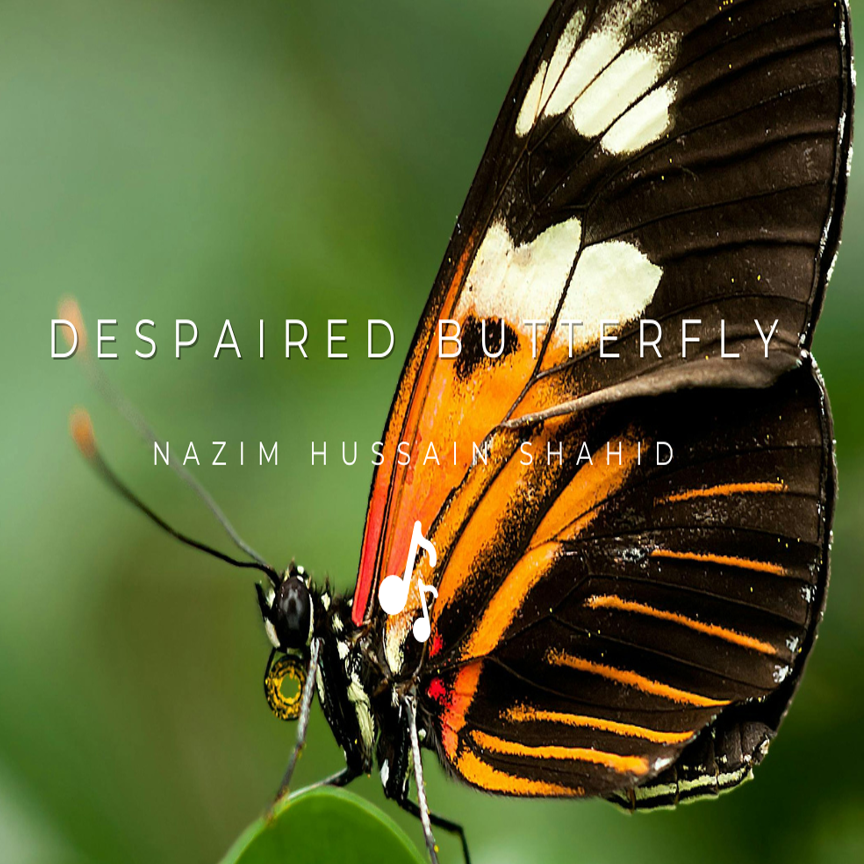 Despaired Butterfly artwork
