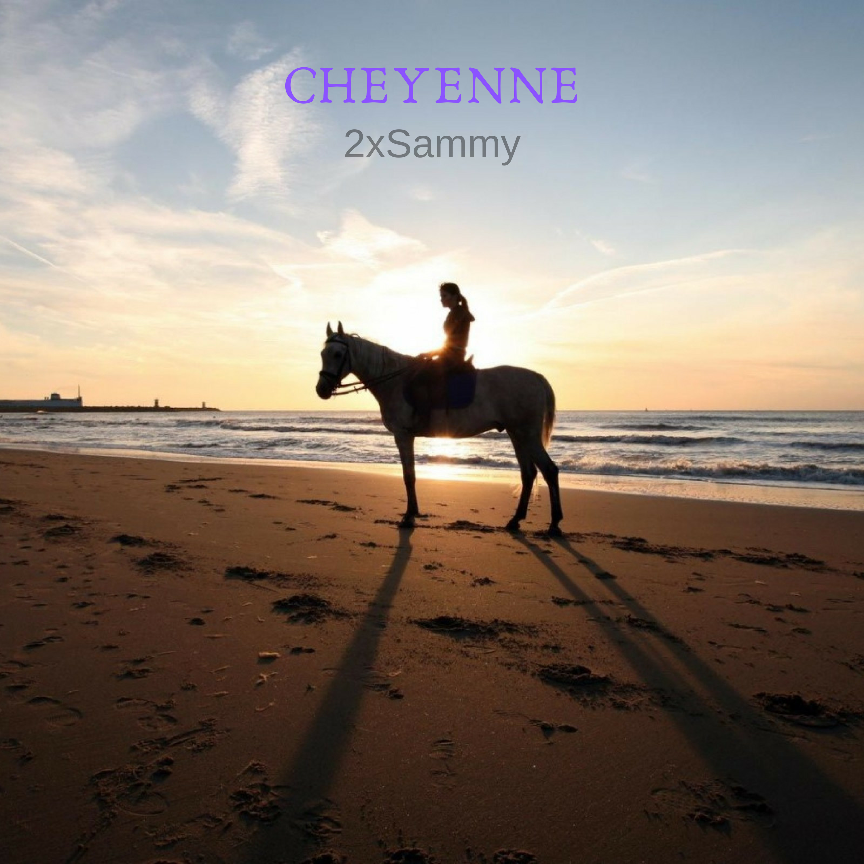 Cheyenne artwork