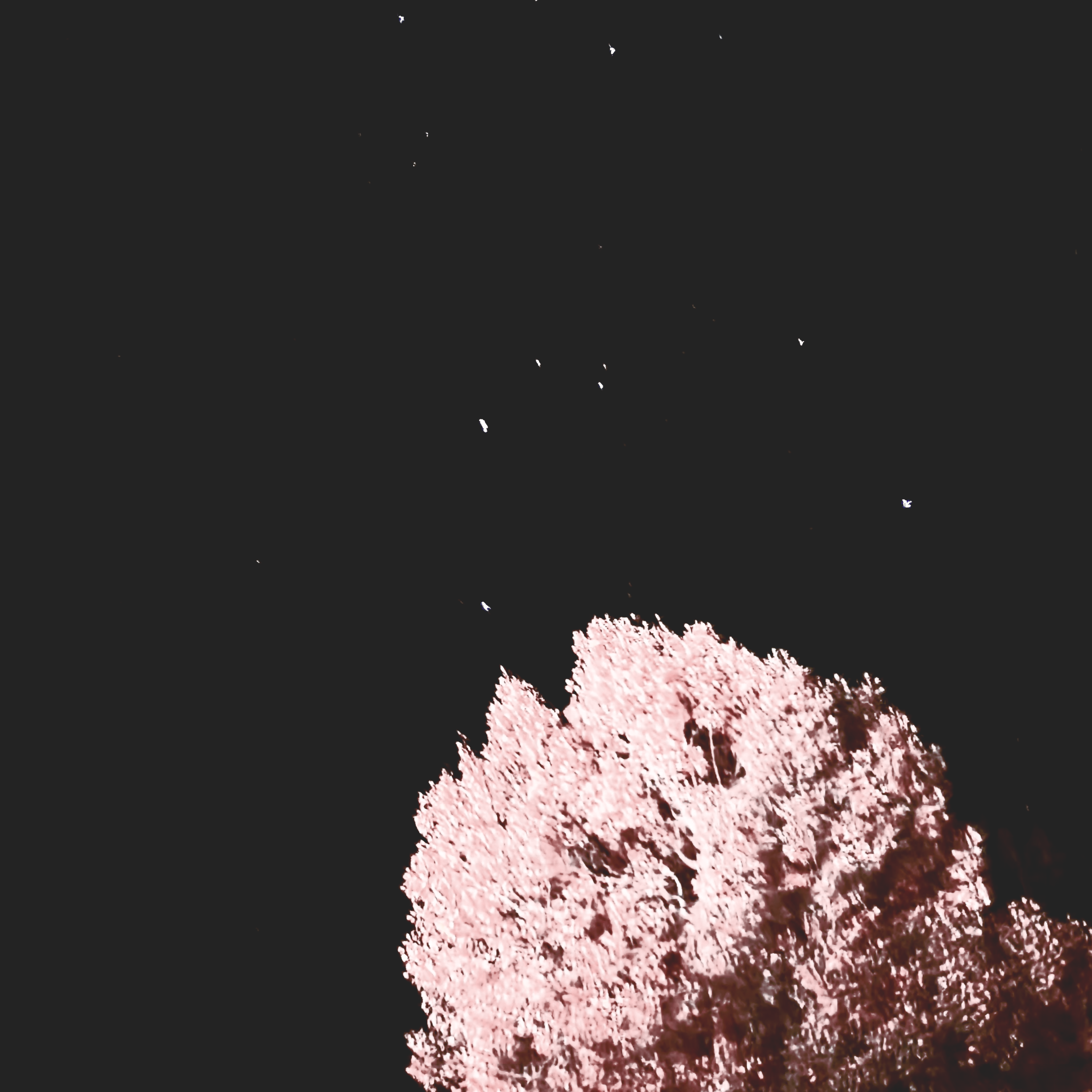 The Fall artwork