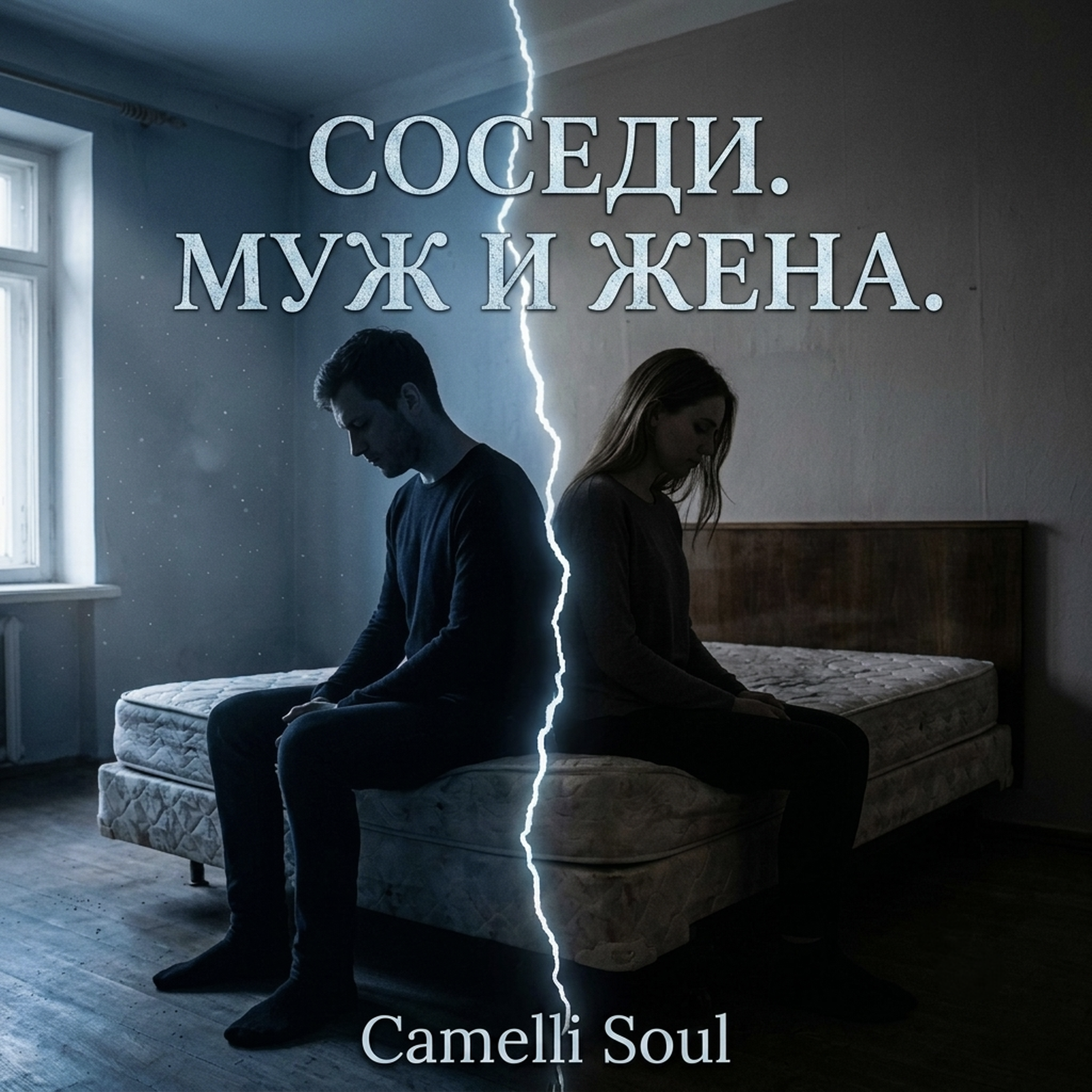 Соседи.Муж и жена. by Camelli Soul cover art