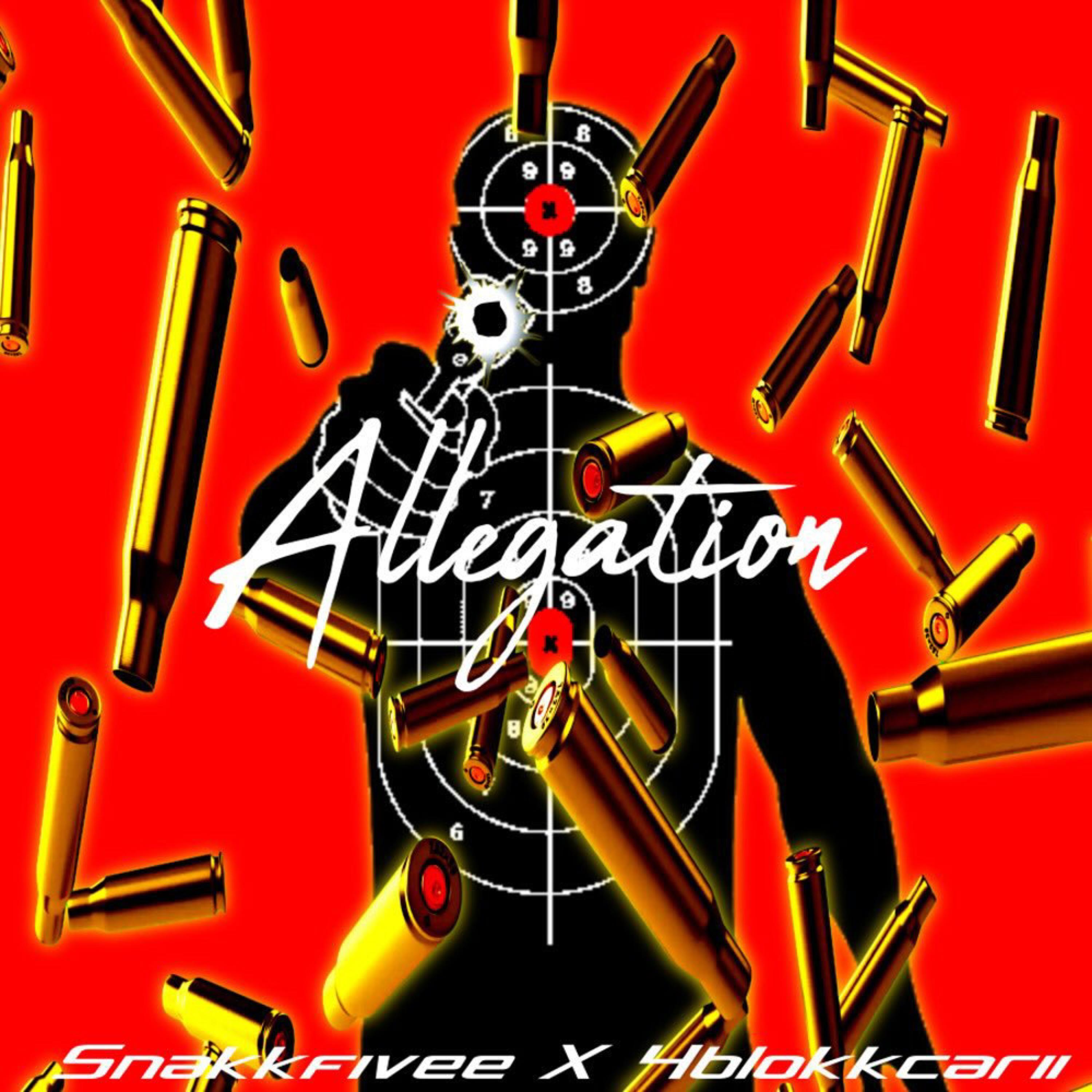 Allegations artwork