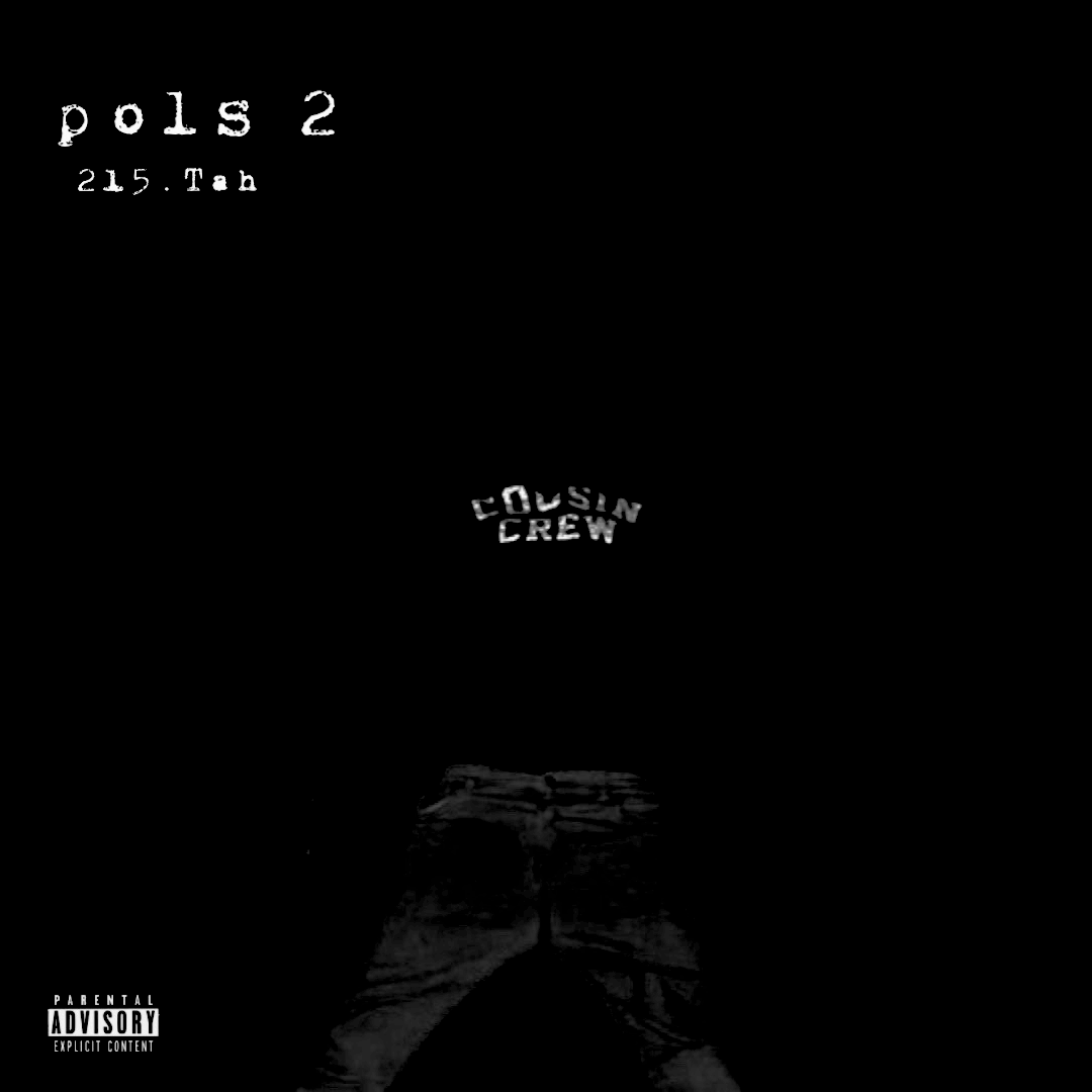 pols 2 artwork