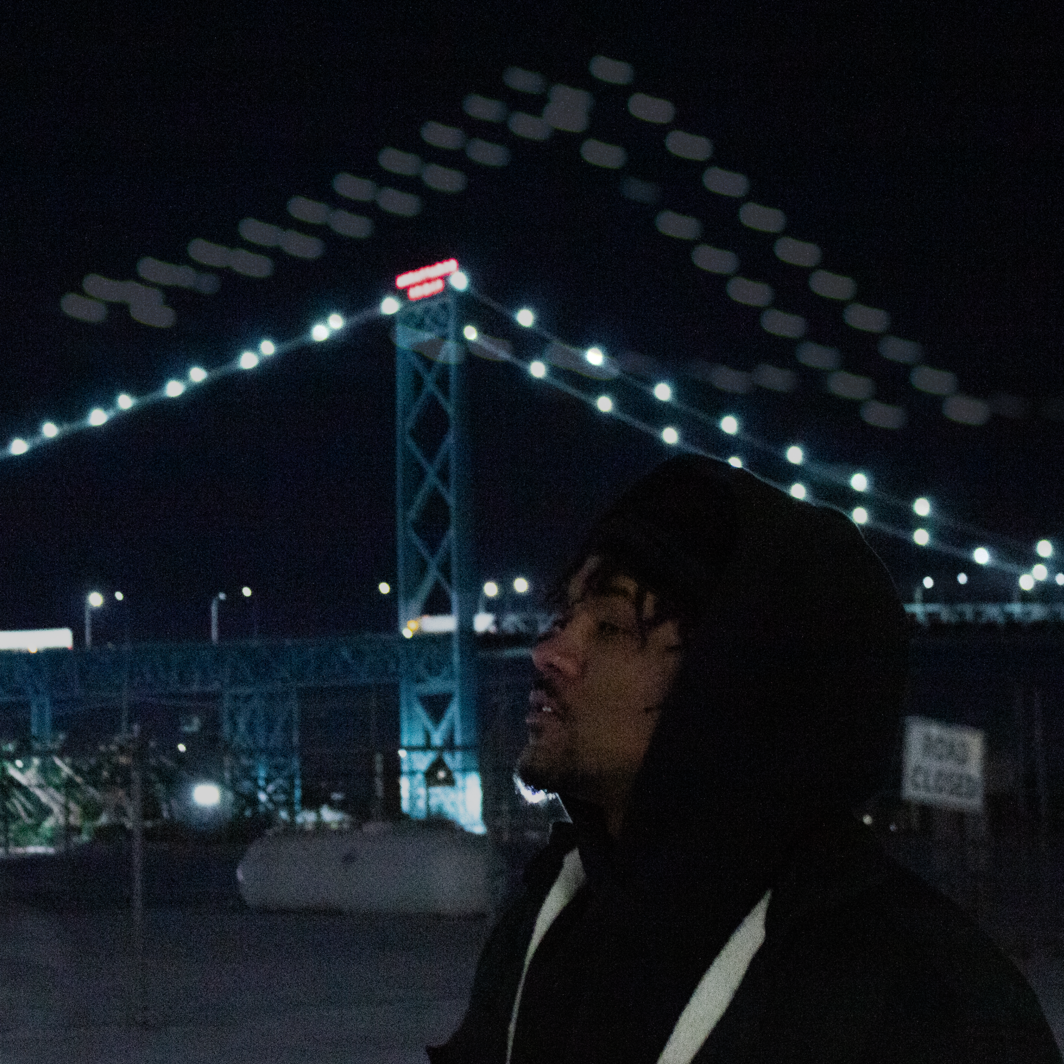 winter in detroit (don't fake it) artwork