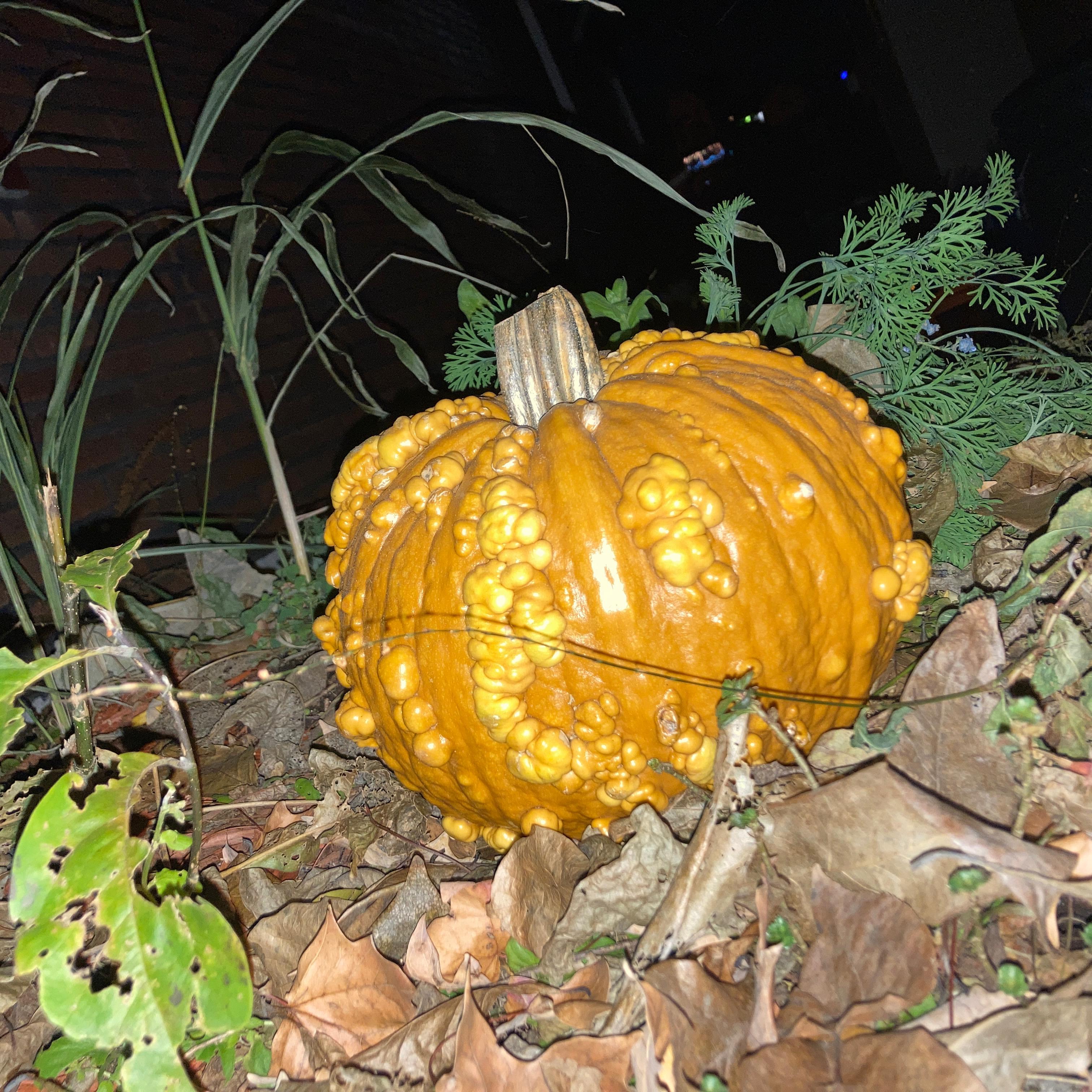 Halloween artwork