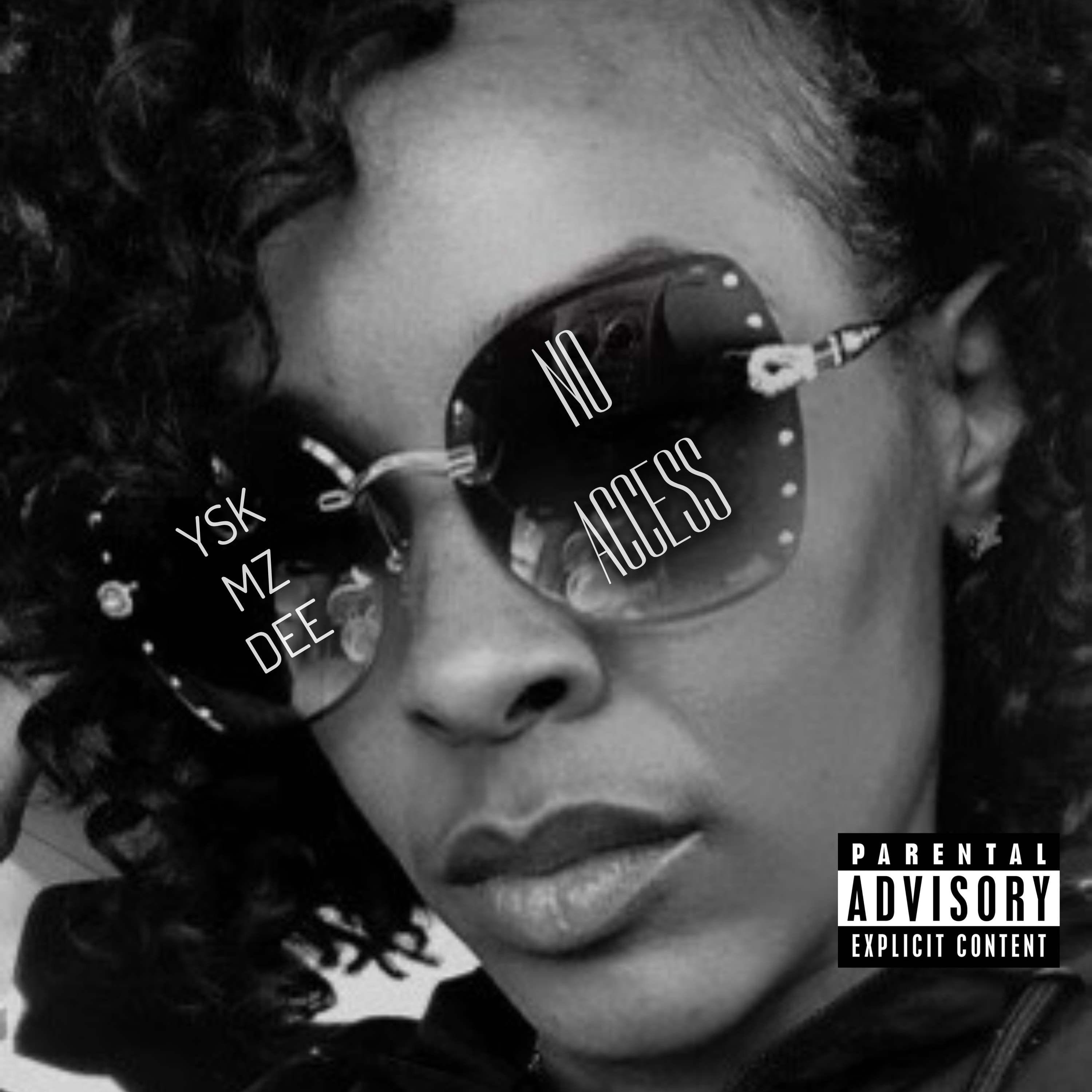NO ACCESS artwork