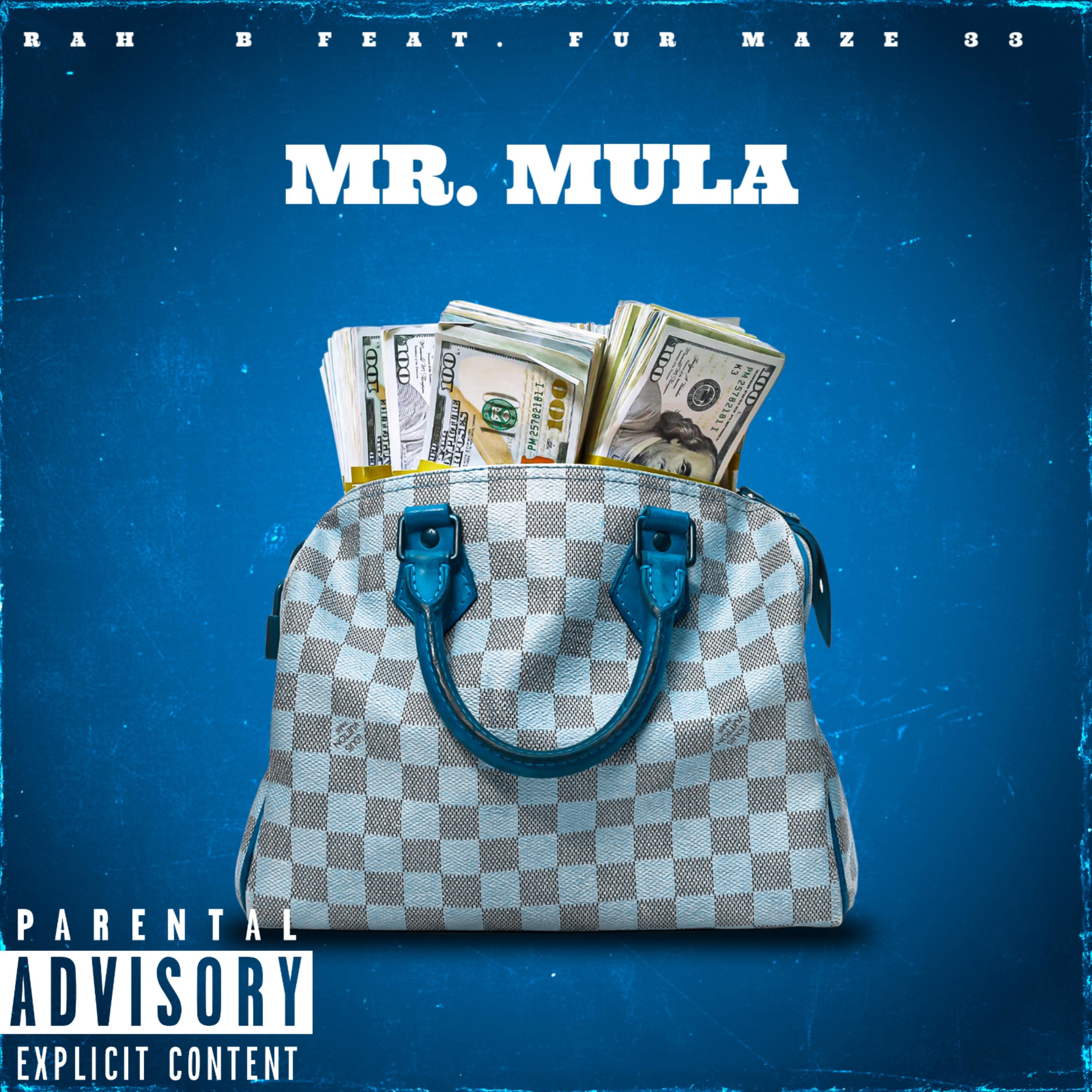 MR. MULA by Rah B cover art