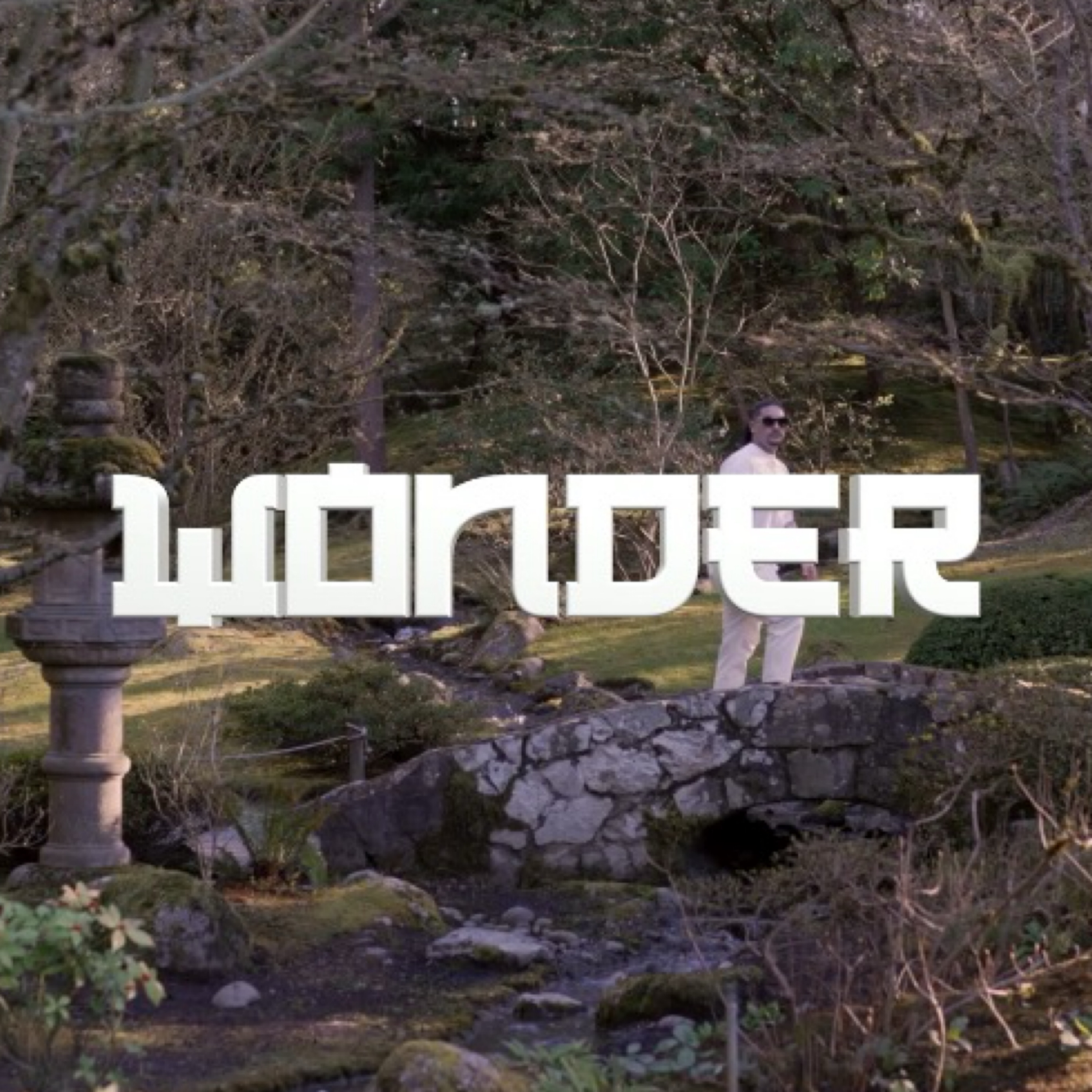 Wonder artwork