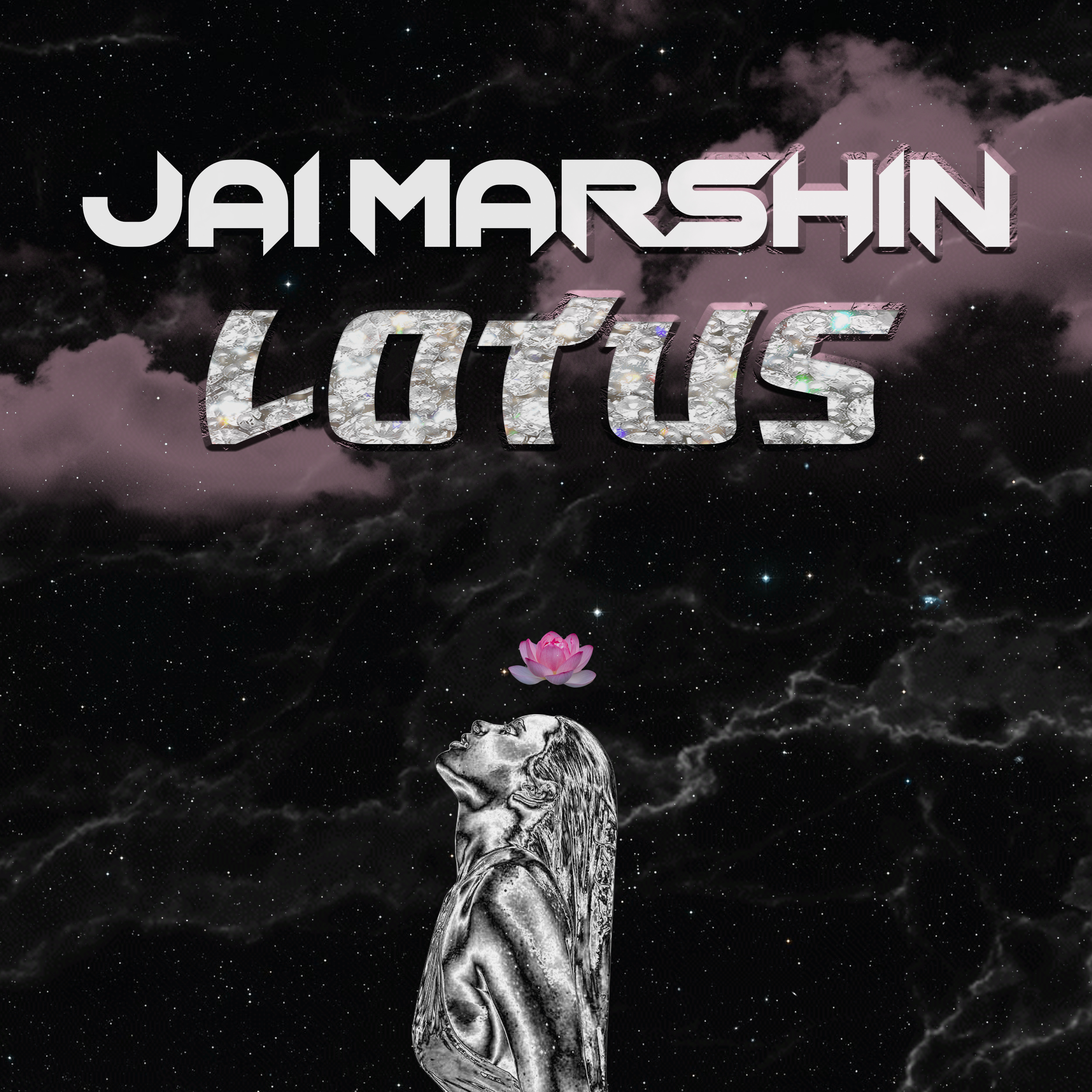 Lotus artwork