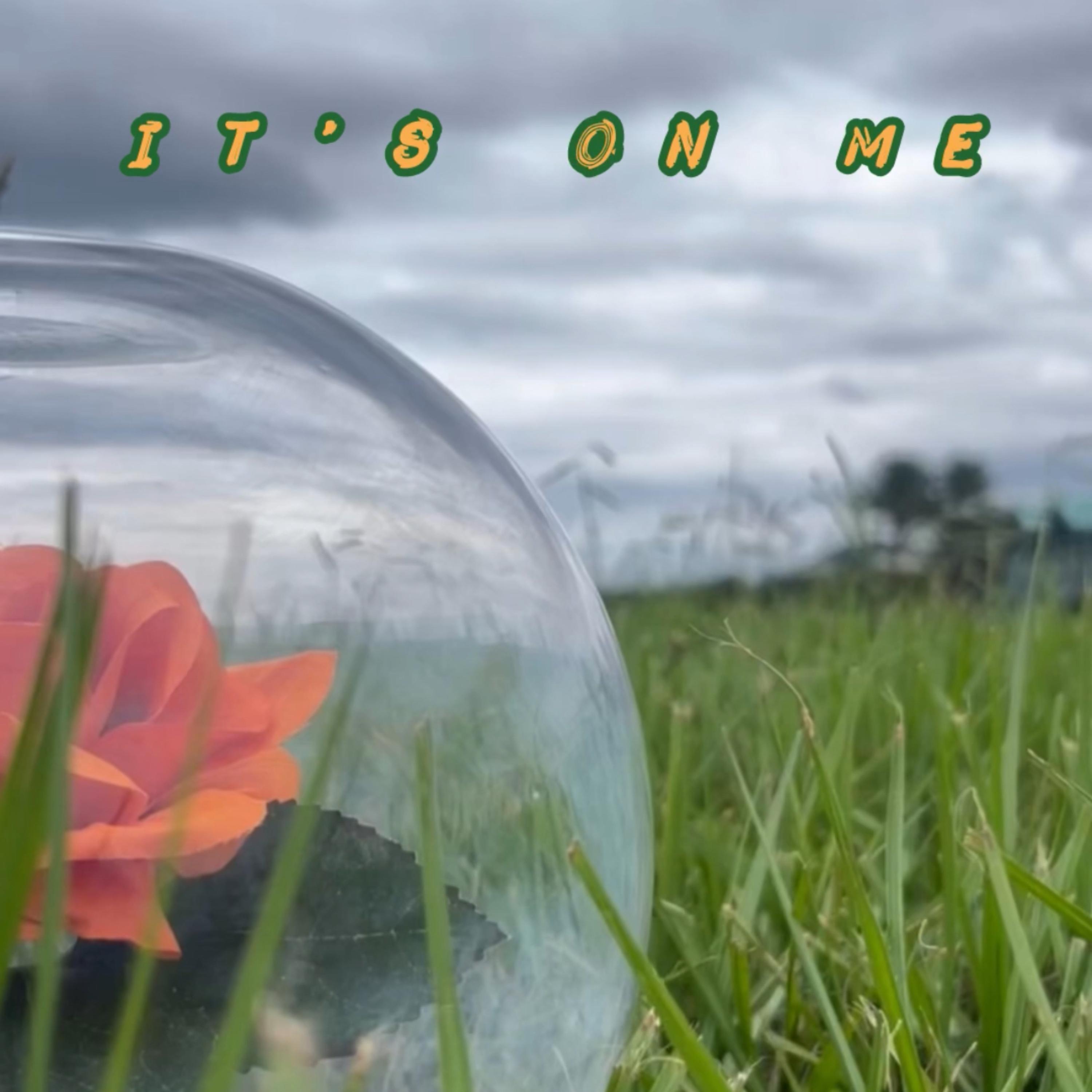 It’s On Me artwork
