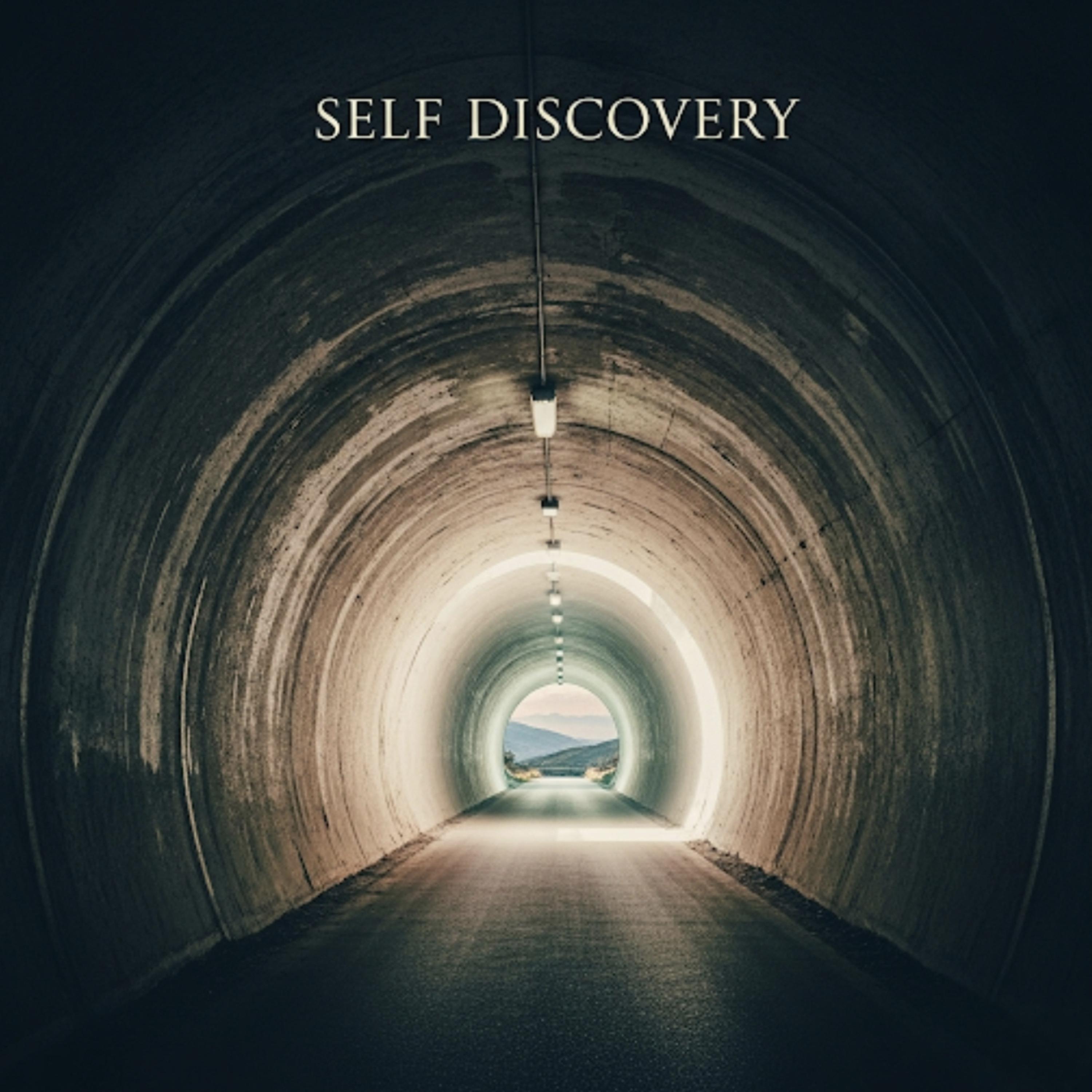 Self Discovery artwork