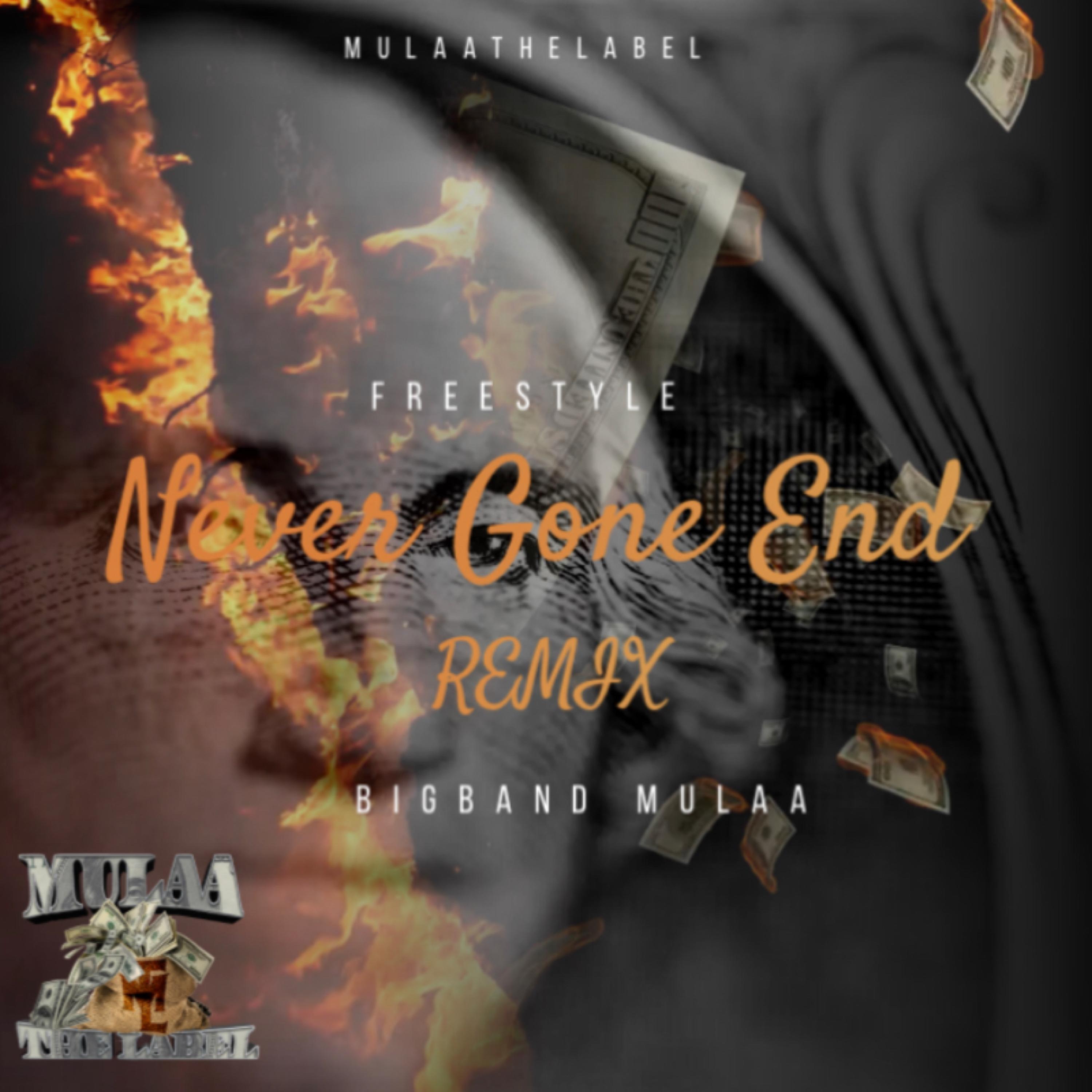 Never Gone End (Remix) artwork