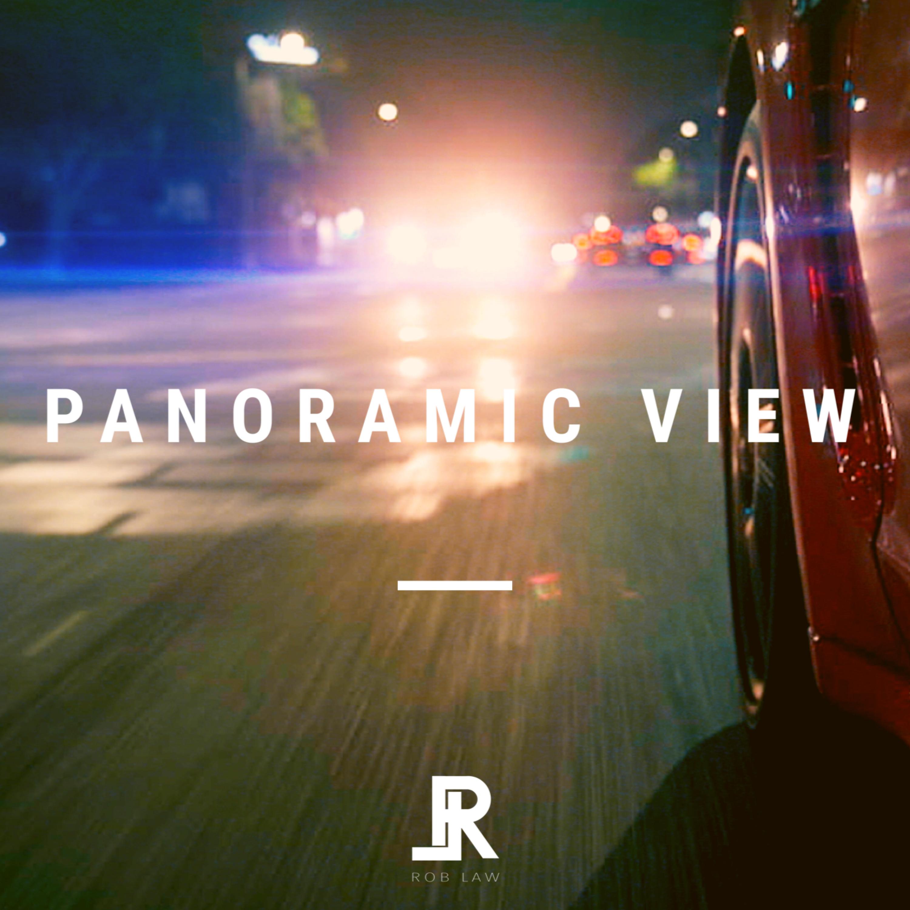 Panoramic View artwork