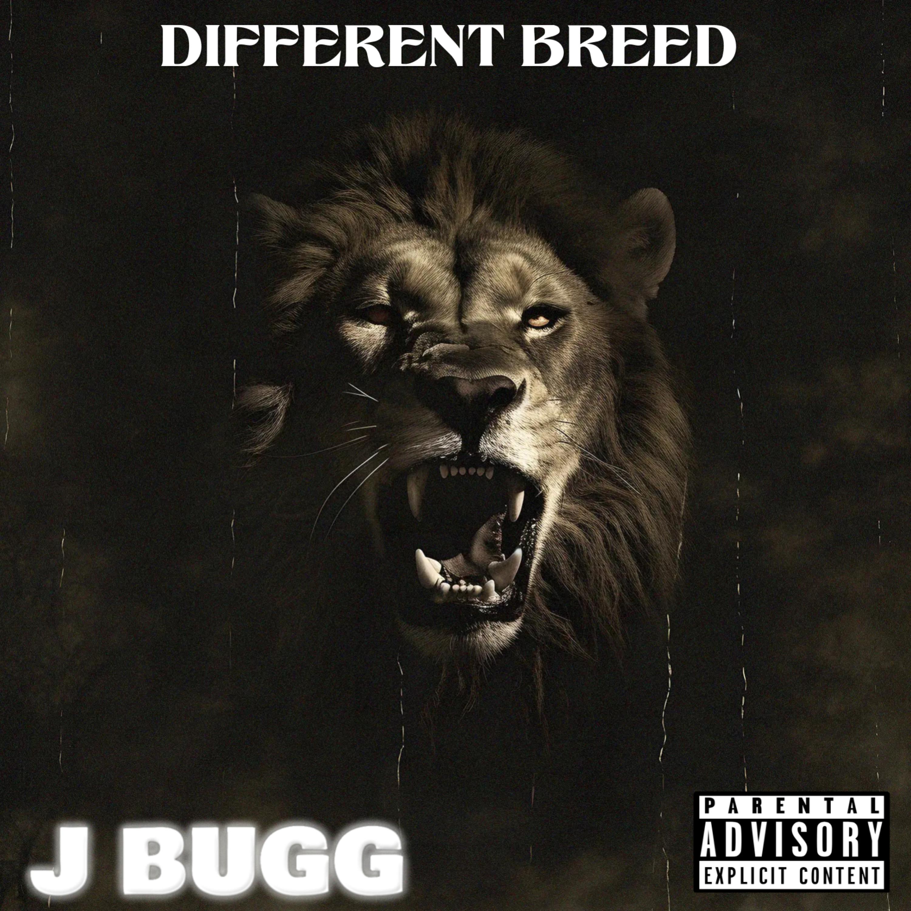 DIFFERENT BREED artwork