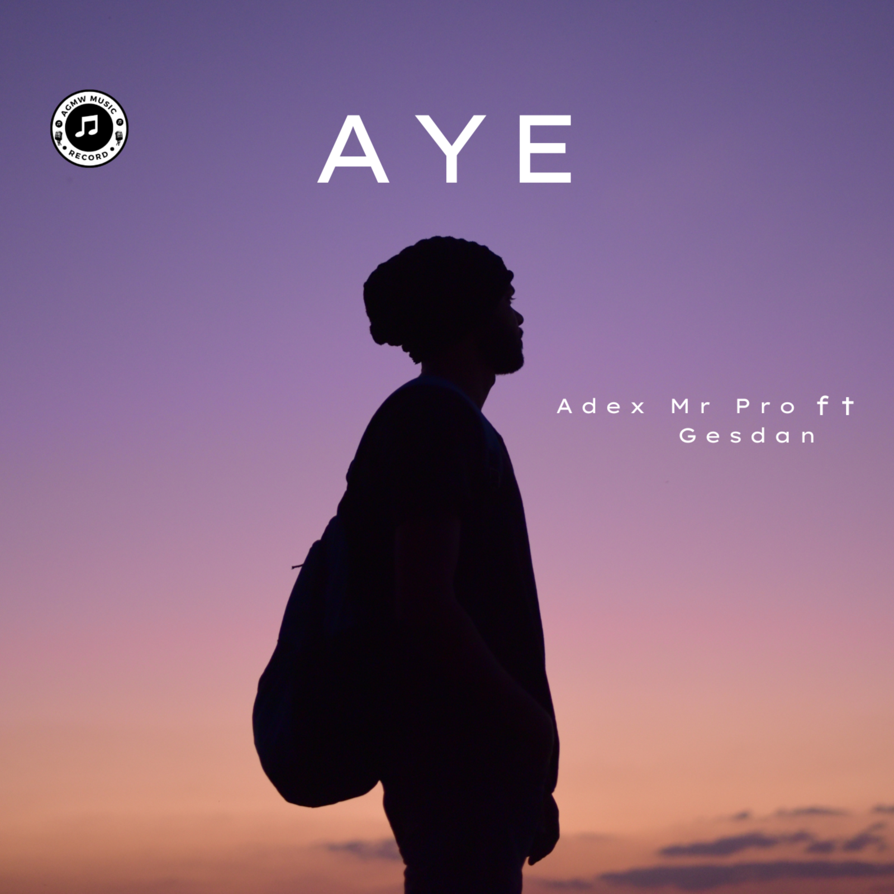 Aye artwork