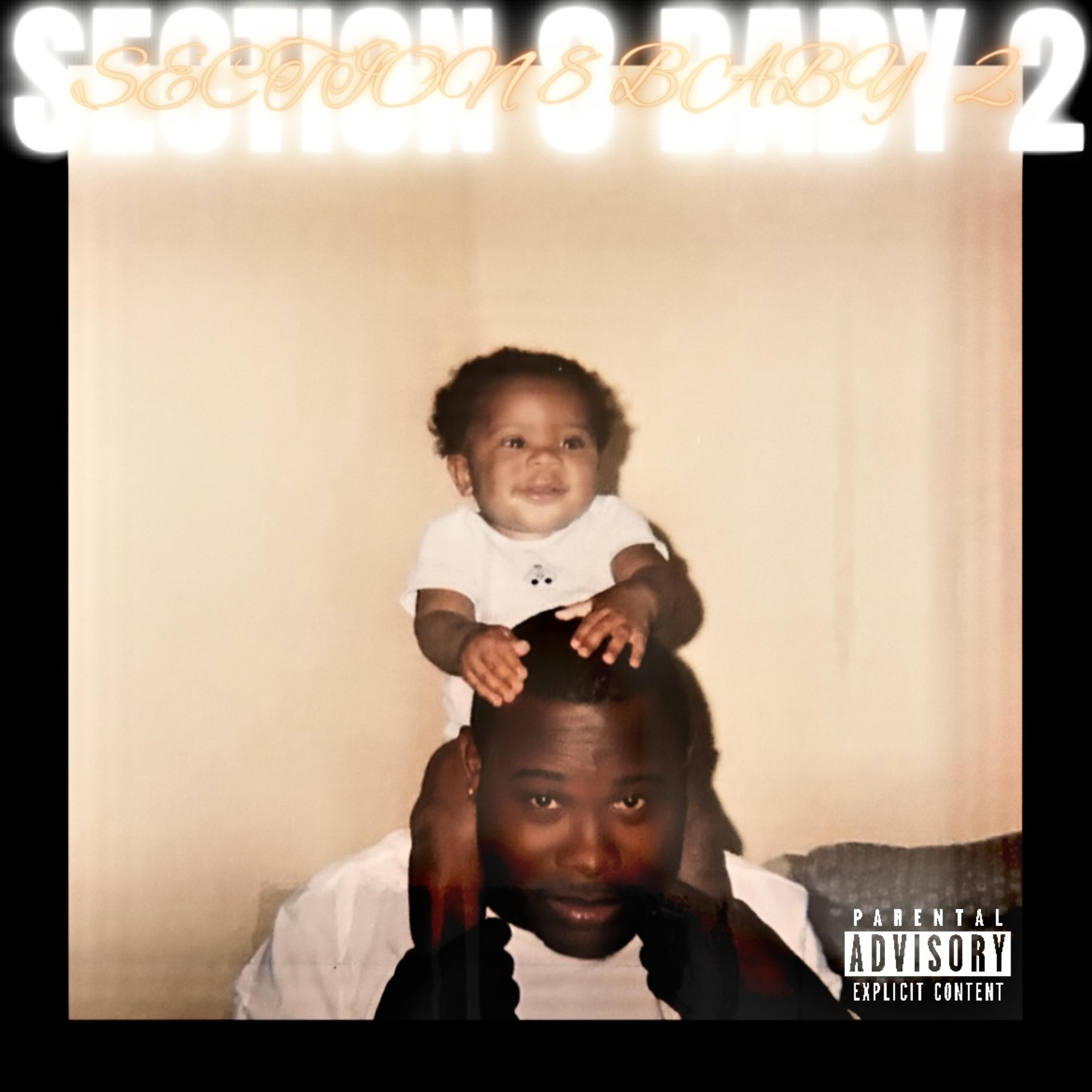 SECTION 8 BABY 2 artwork