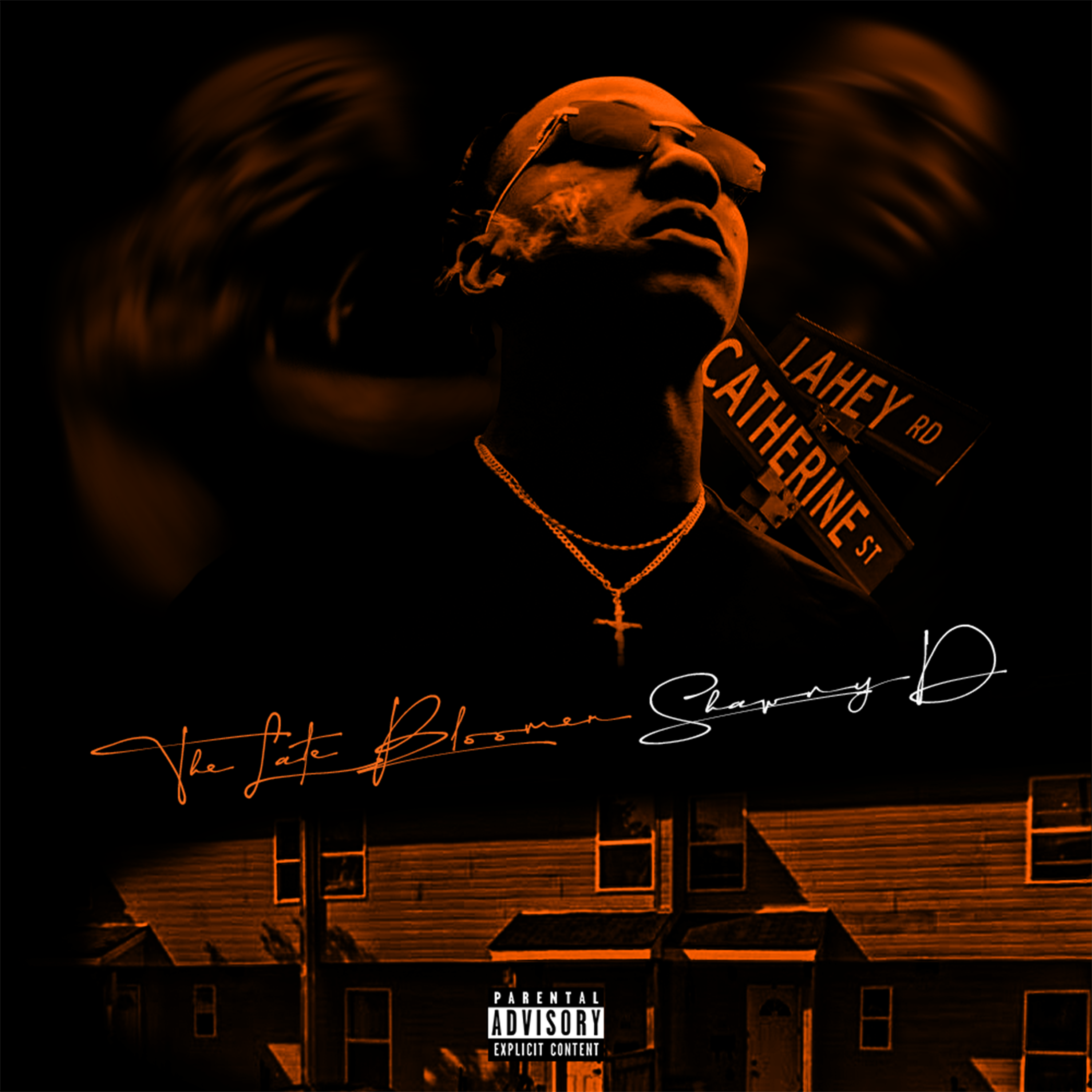 THE LATE BLOOMER artwork