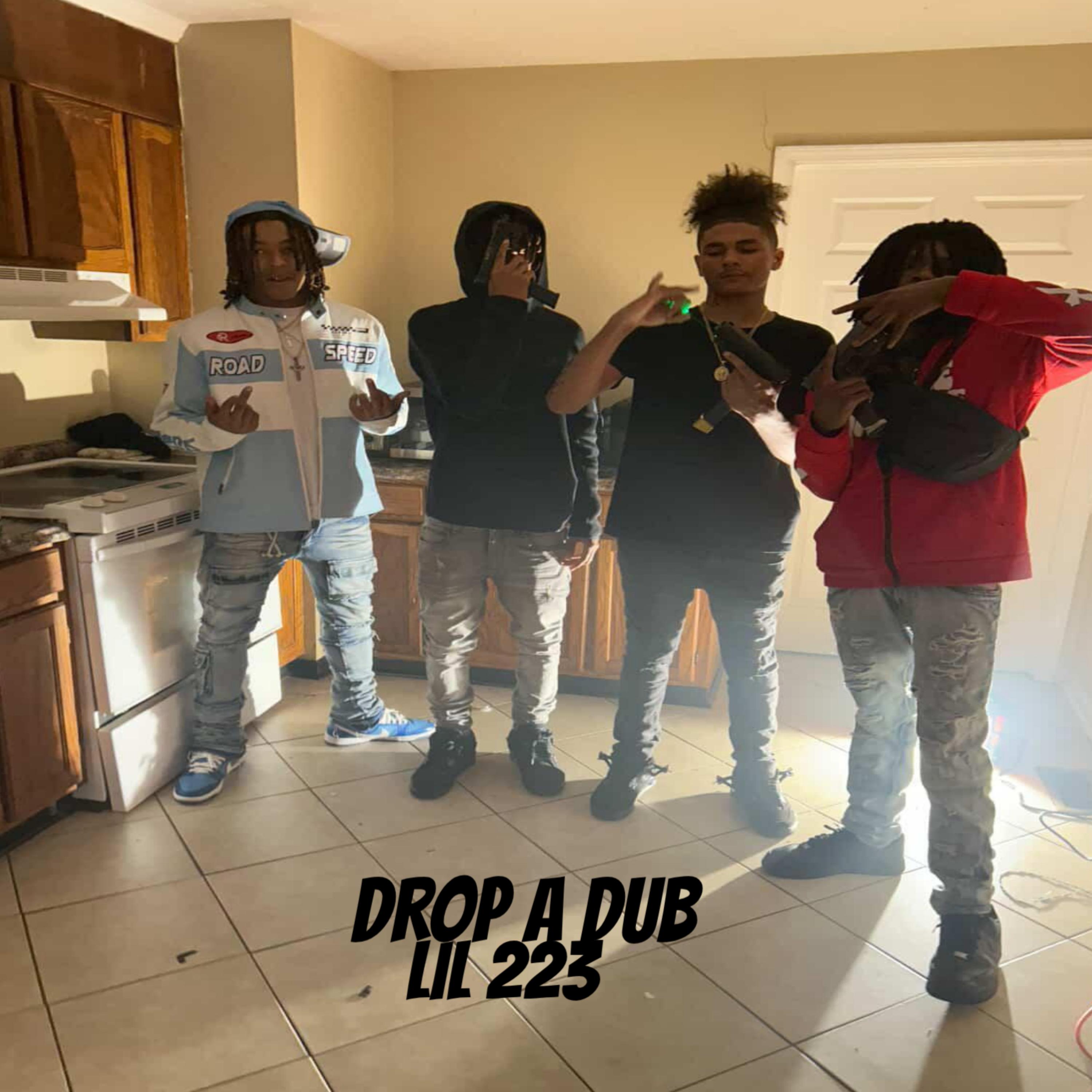 Drop A Dub artwork