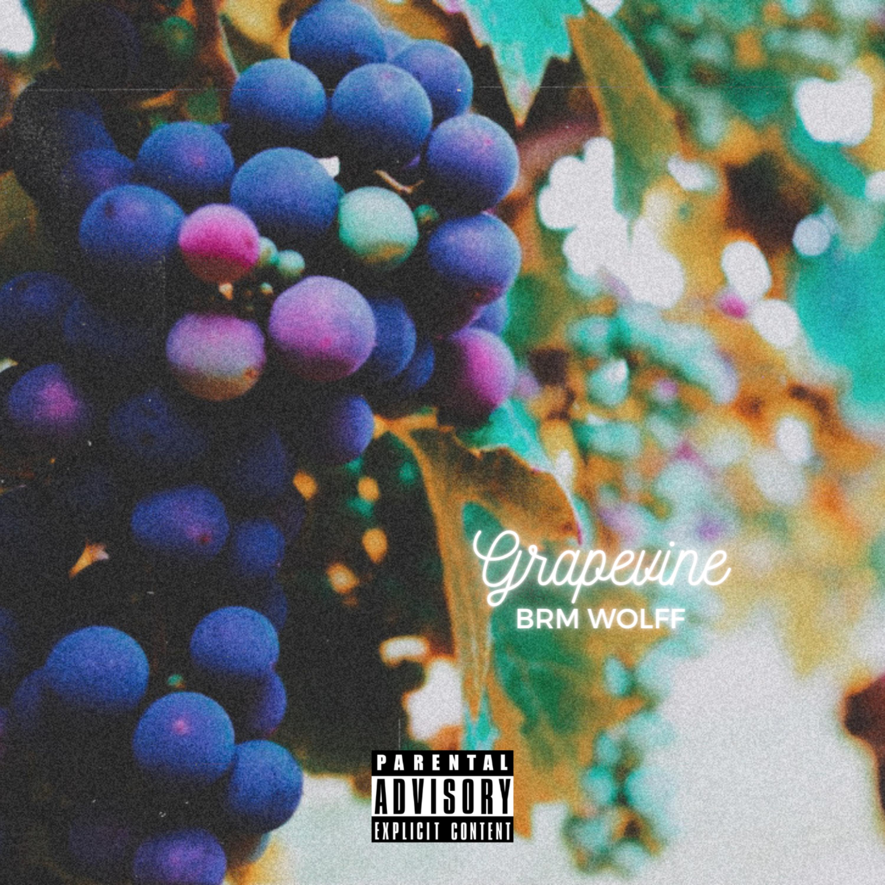 Grapevine artwork