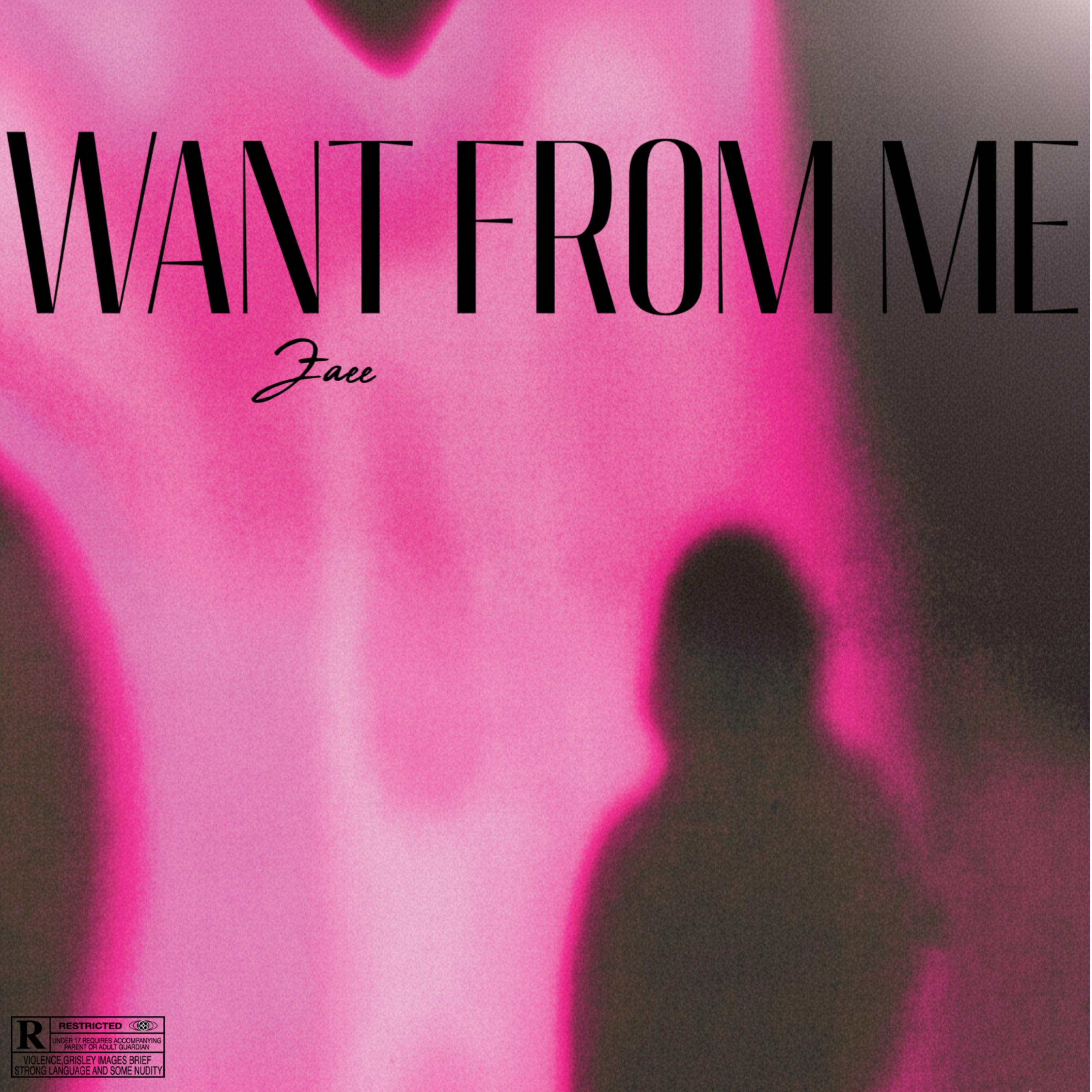 Want From Me artwork