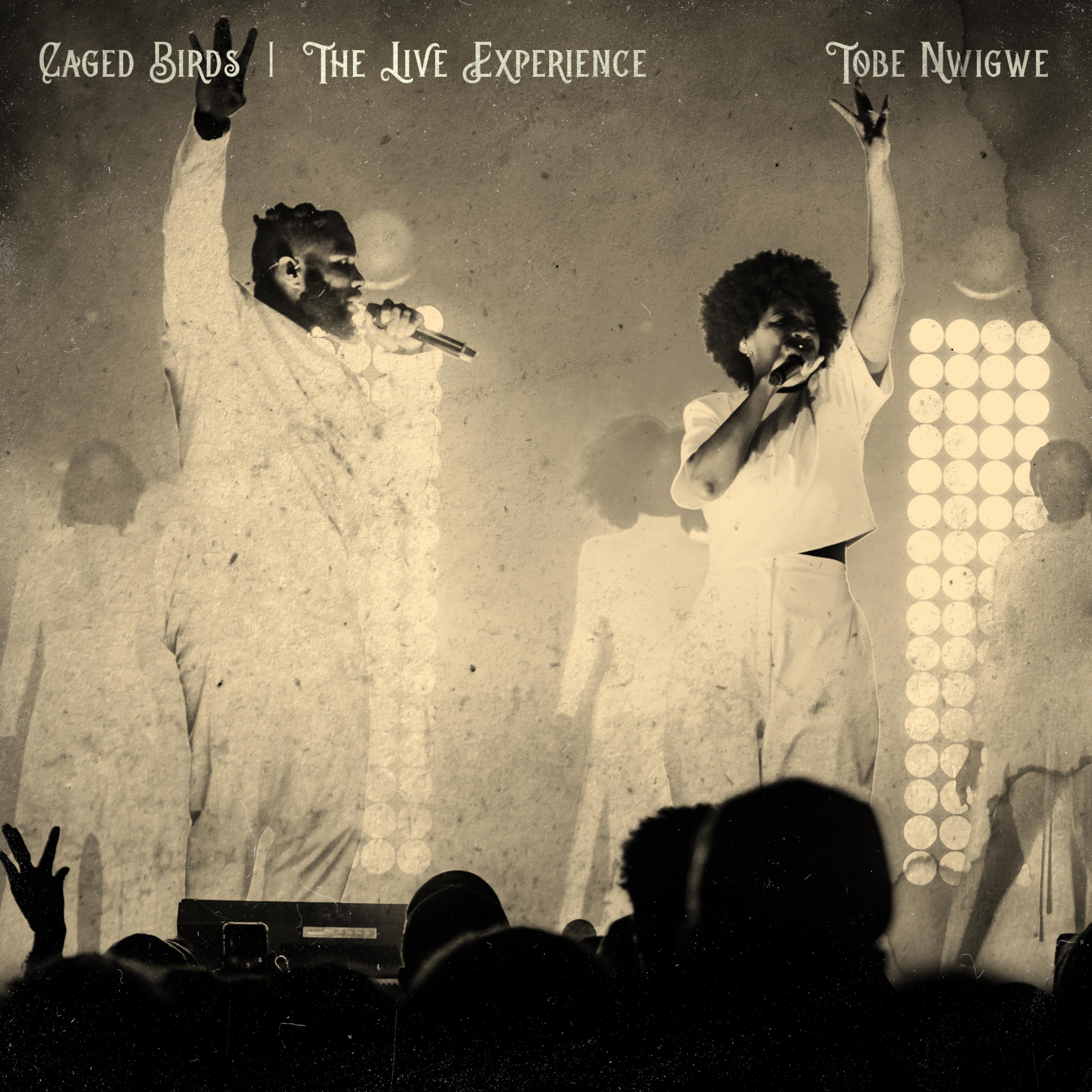 CAGED BIRDS (THE IVORY TOUR LIVE) artwork