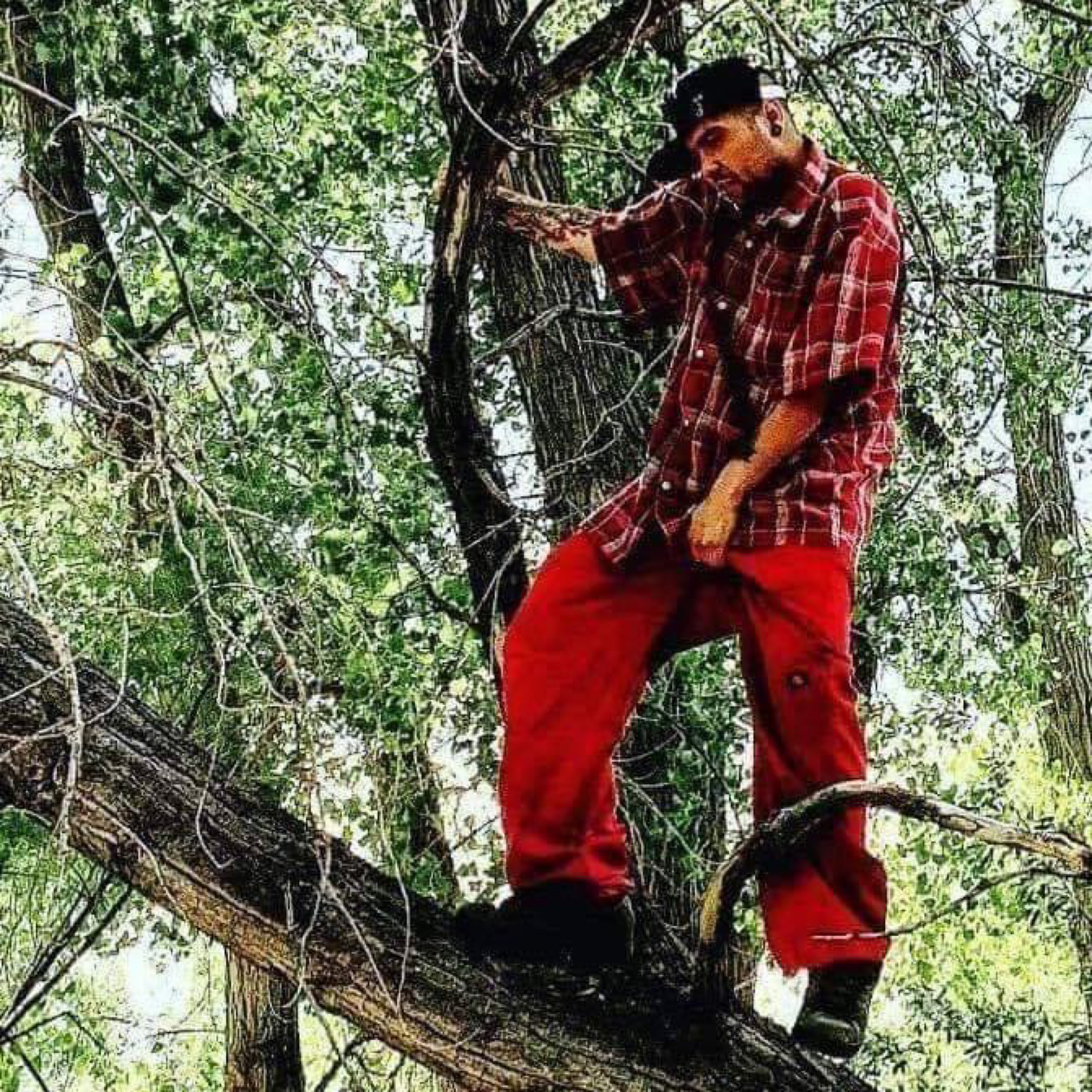 Dead Or Alive artwork