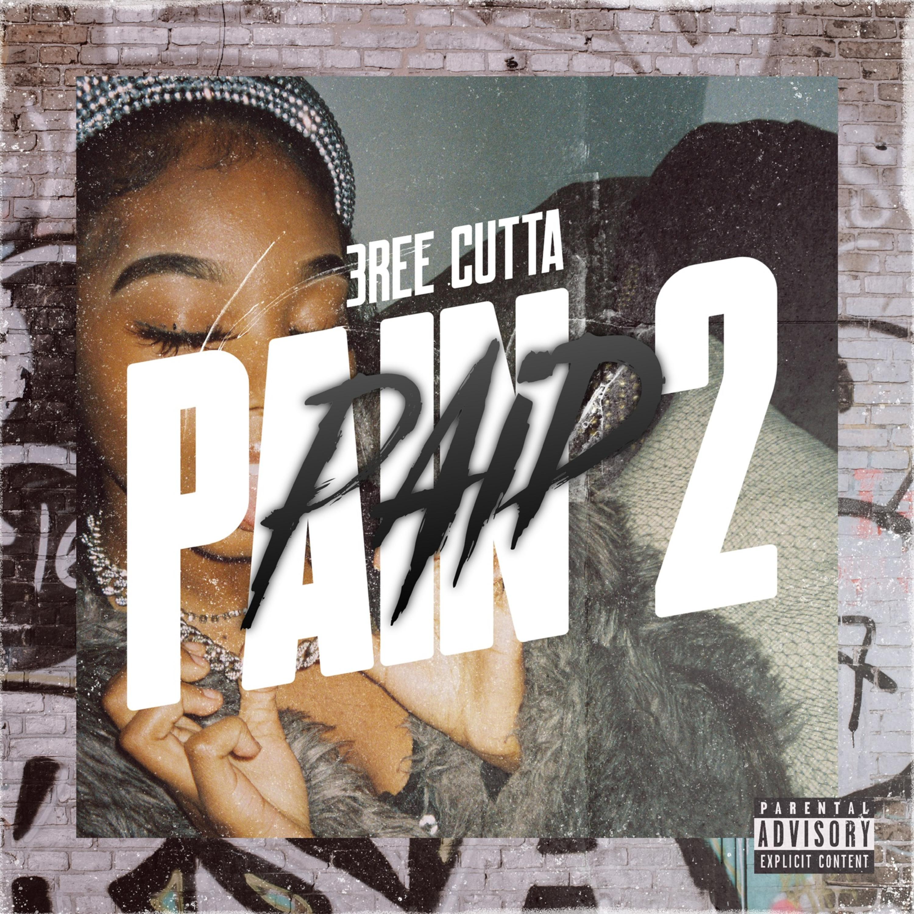 Pain 2 Paid artwork