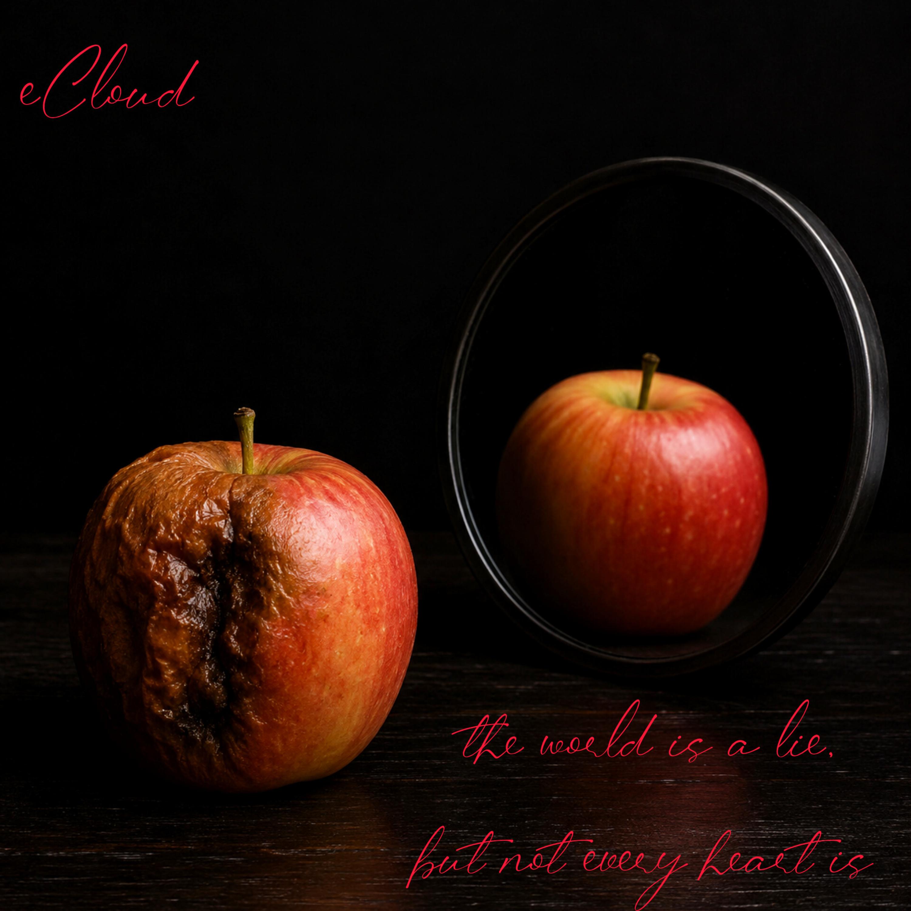 the world is a lie, but not every heart is by eCloud cover art