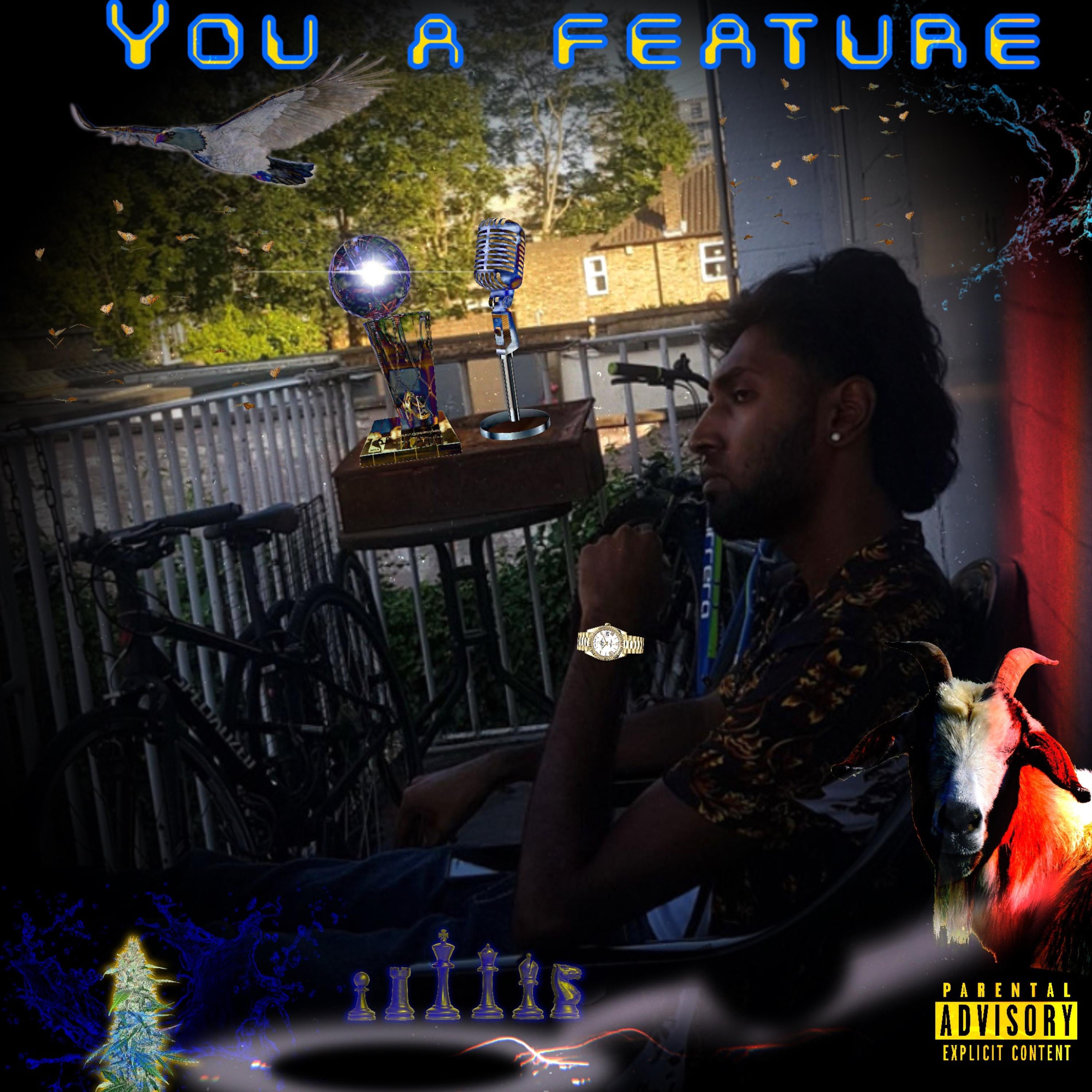 You A Feature by Larry Hillz cover art
