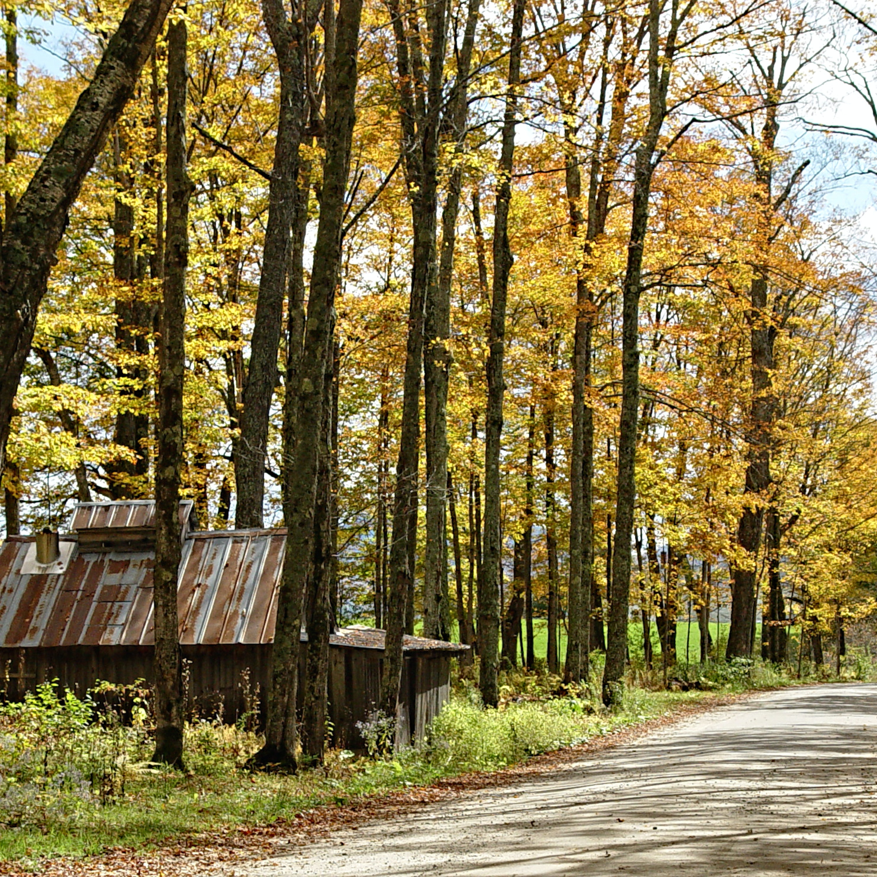 Country Mile Stroll artwork