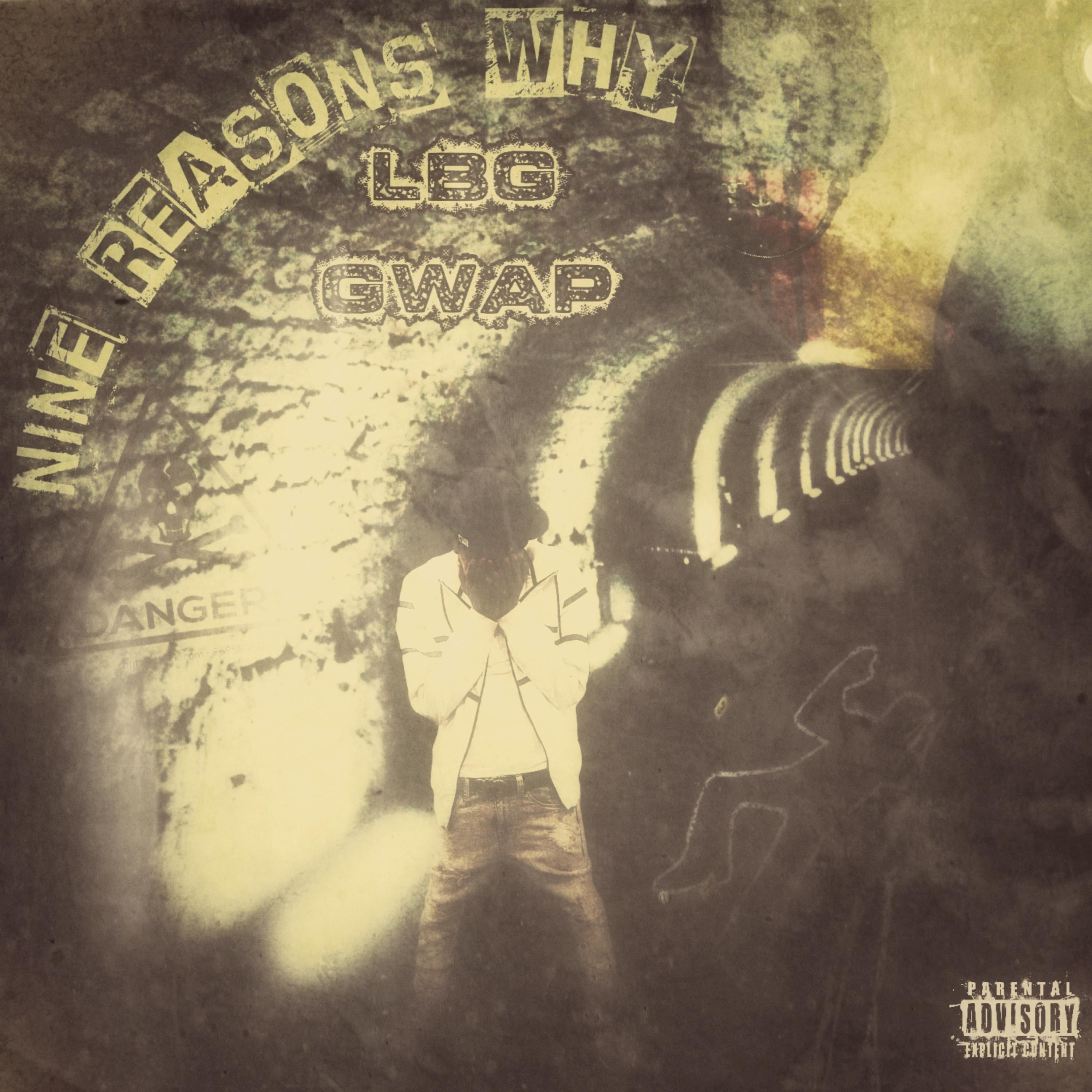 Nine Reasons Why artwork