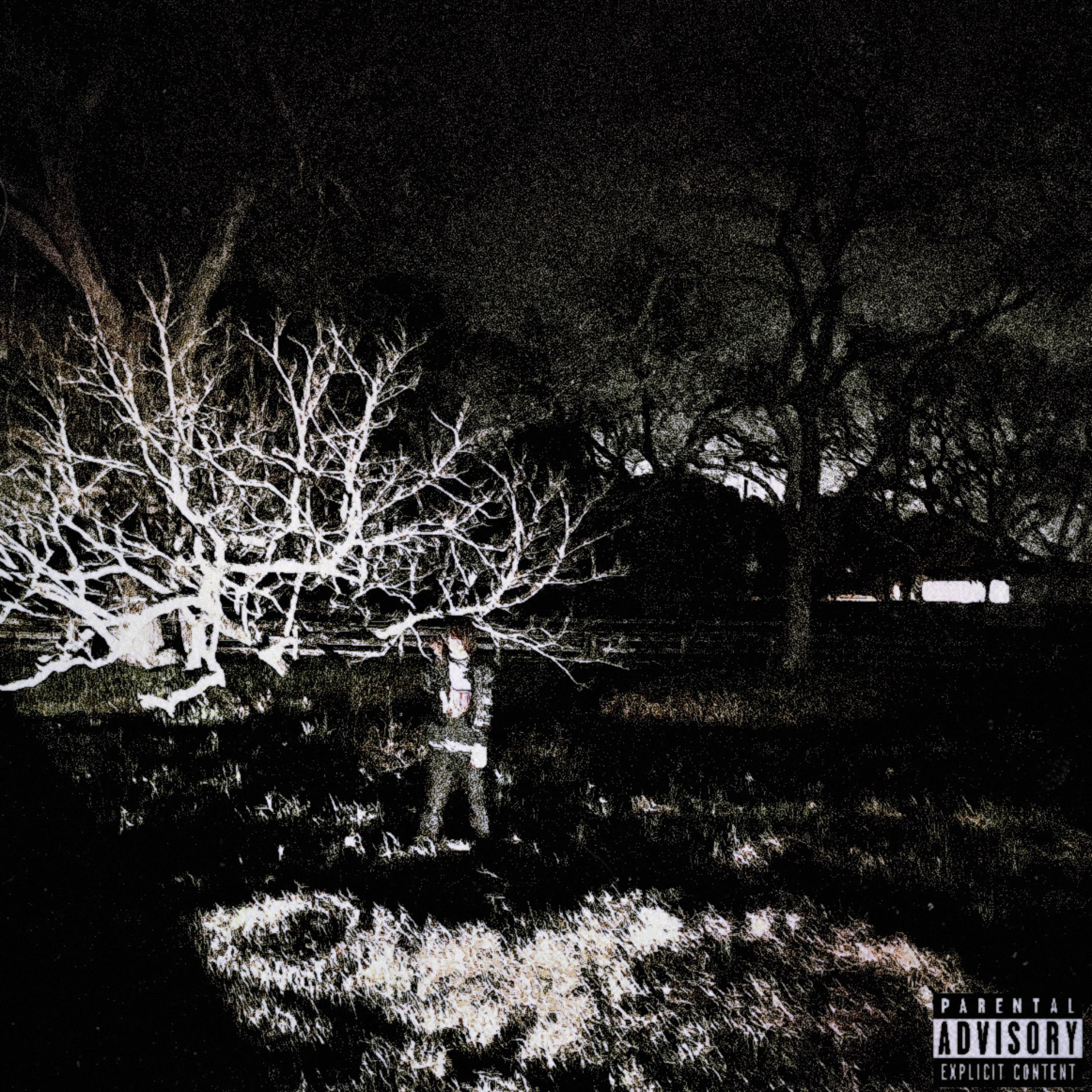 PERCEPTION artwork