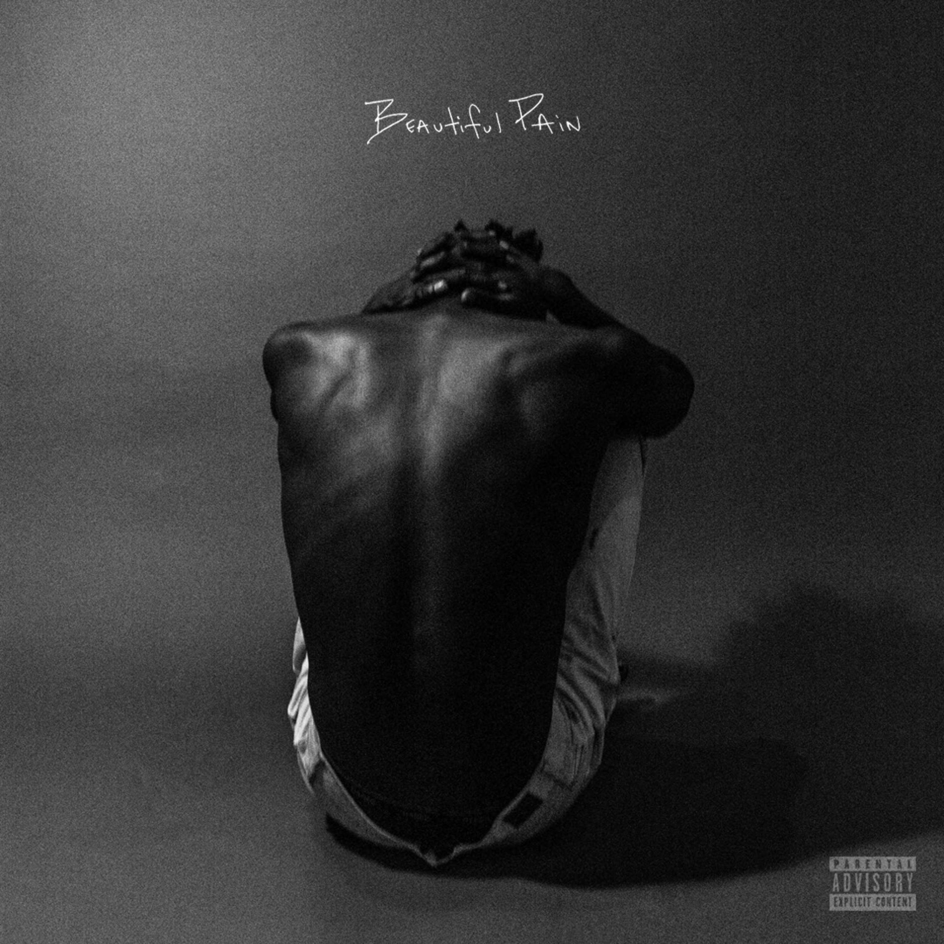 Beautiful Pain artwork
