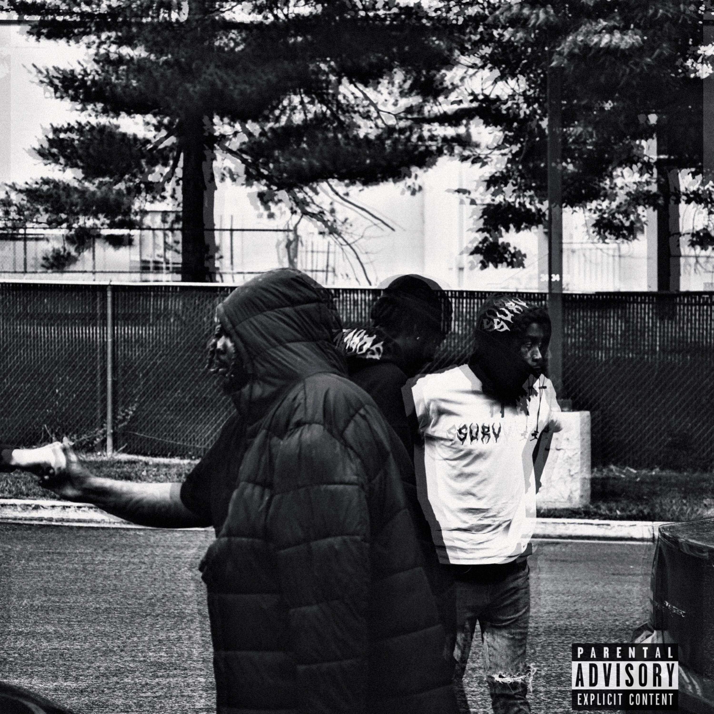 VIOLATION artwork