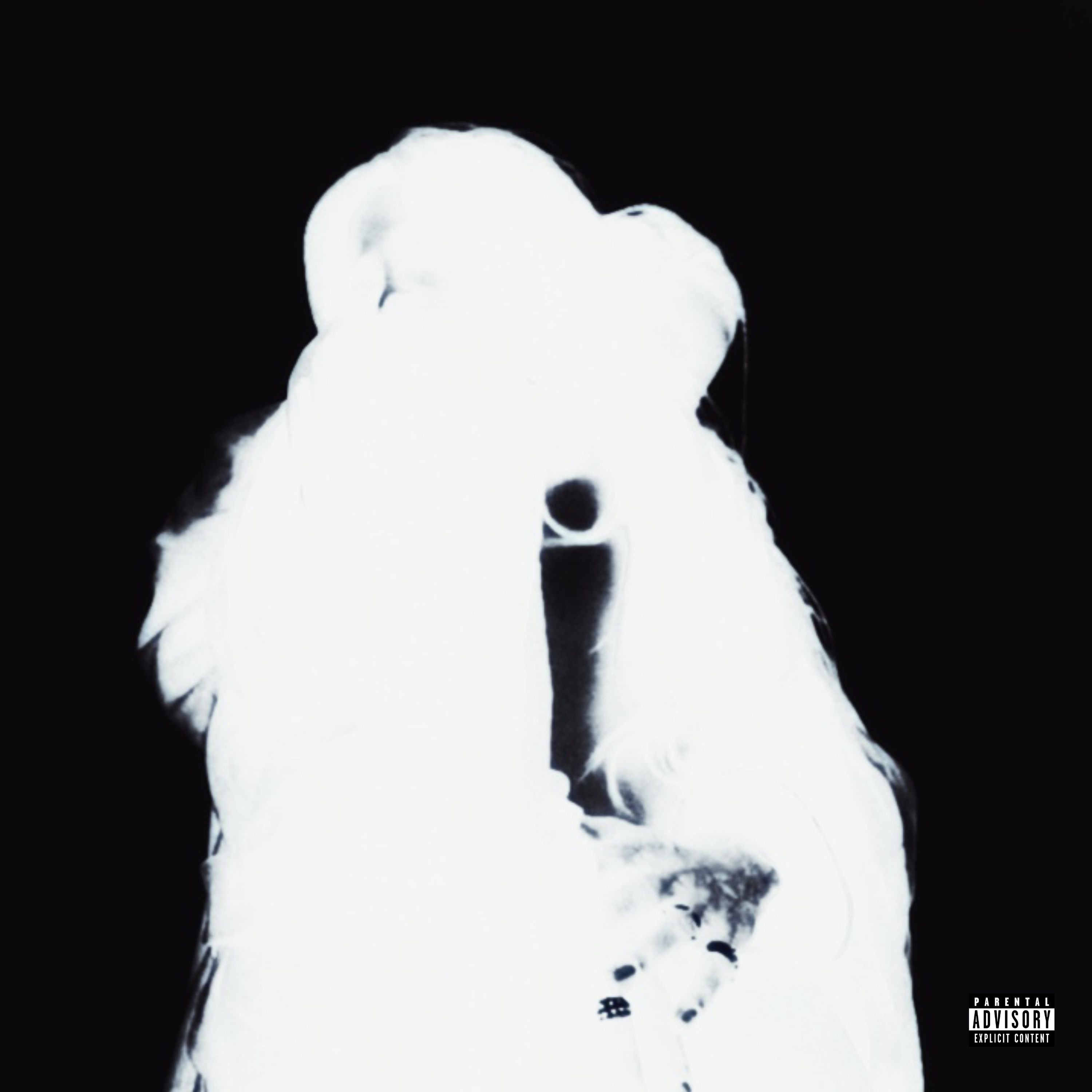 No Hard Feelings artwork