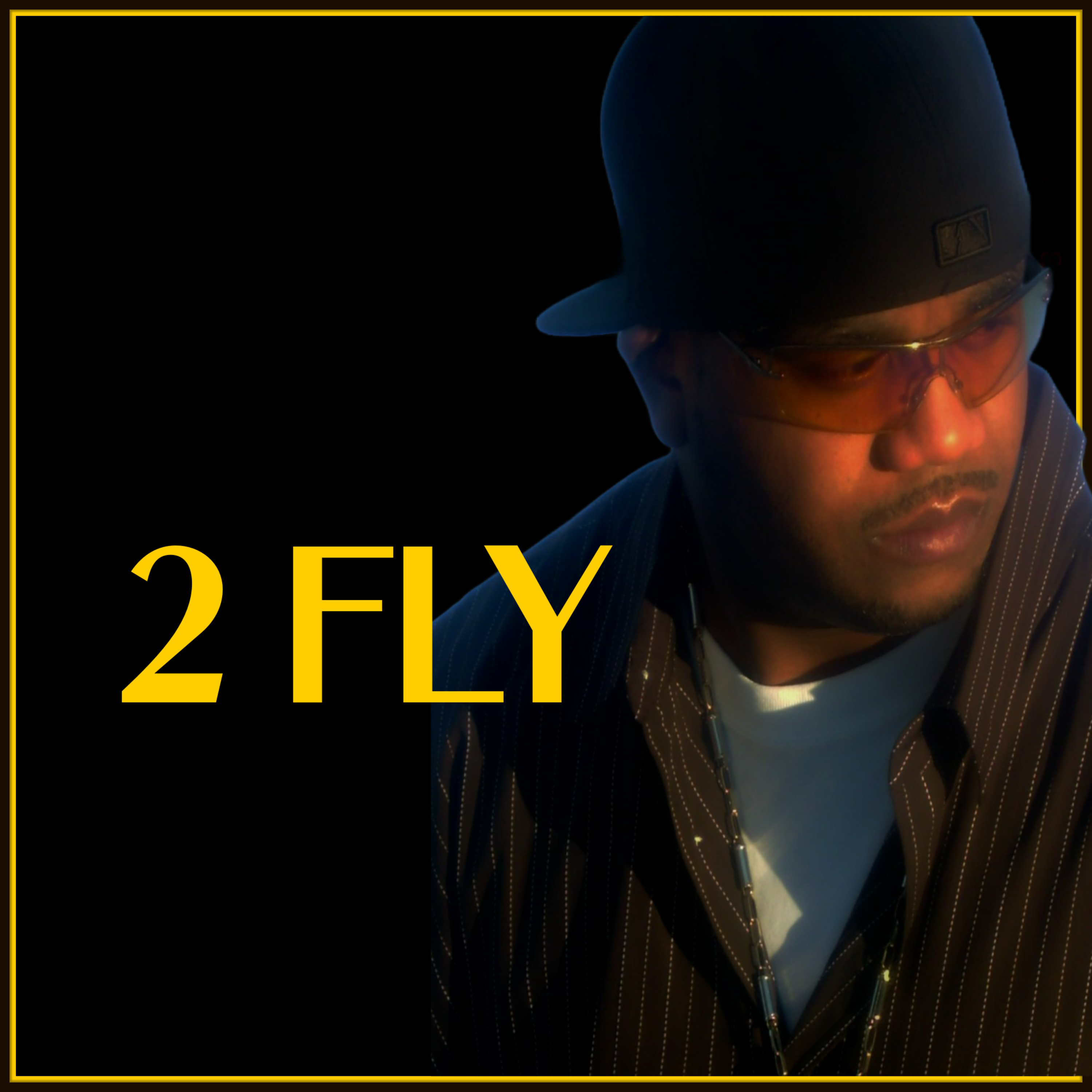 2 FLY artwork
